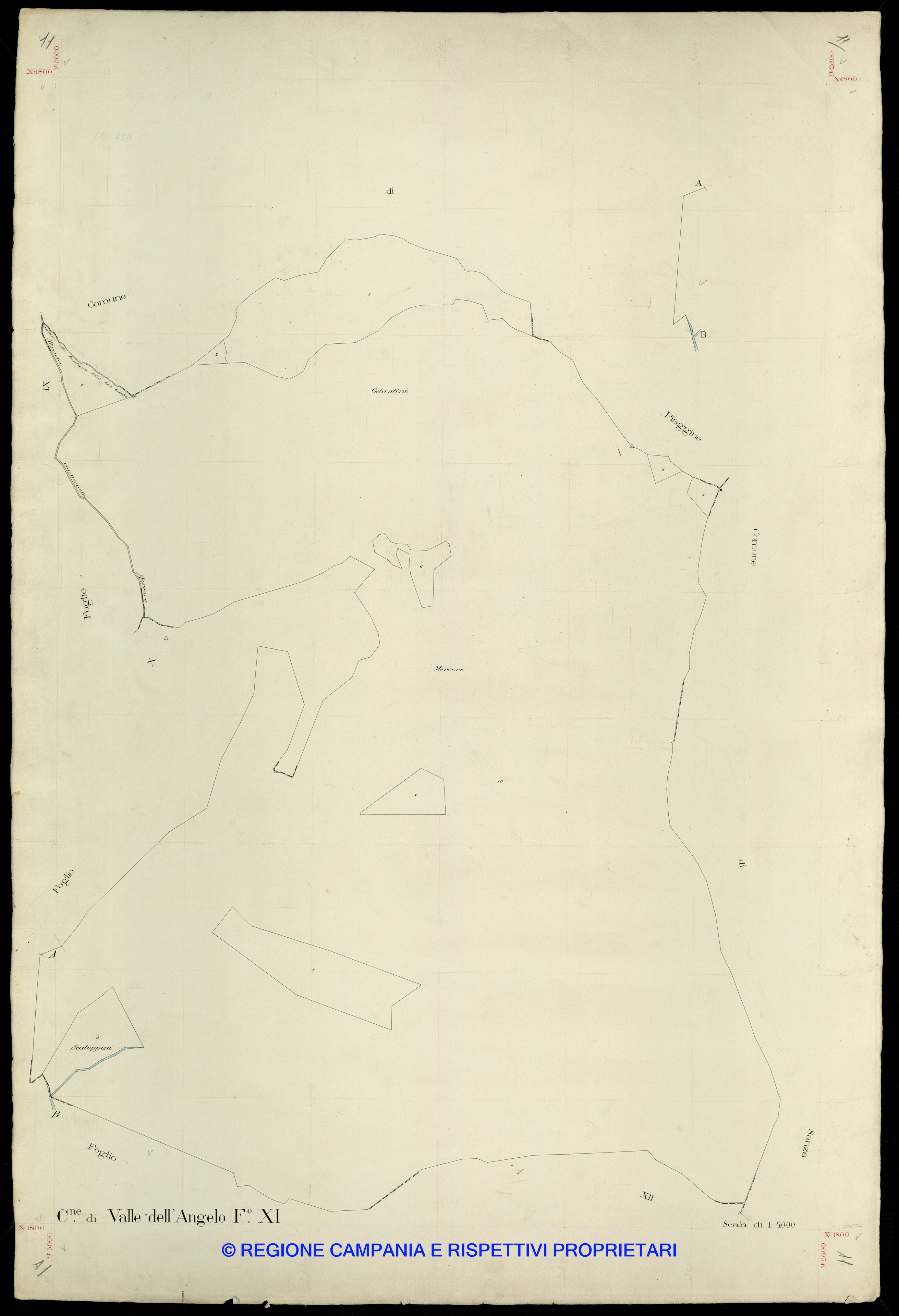 Mappa
