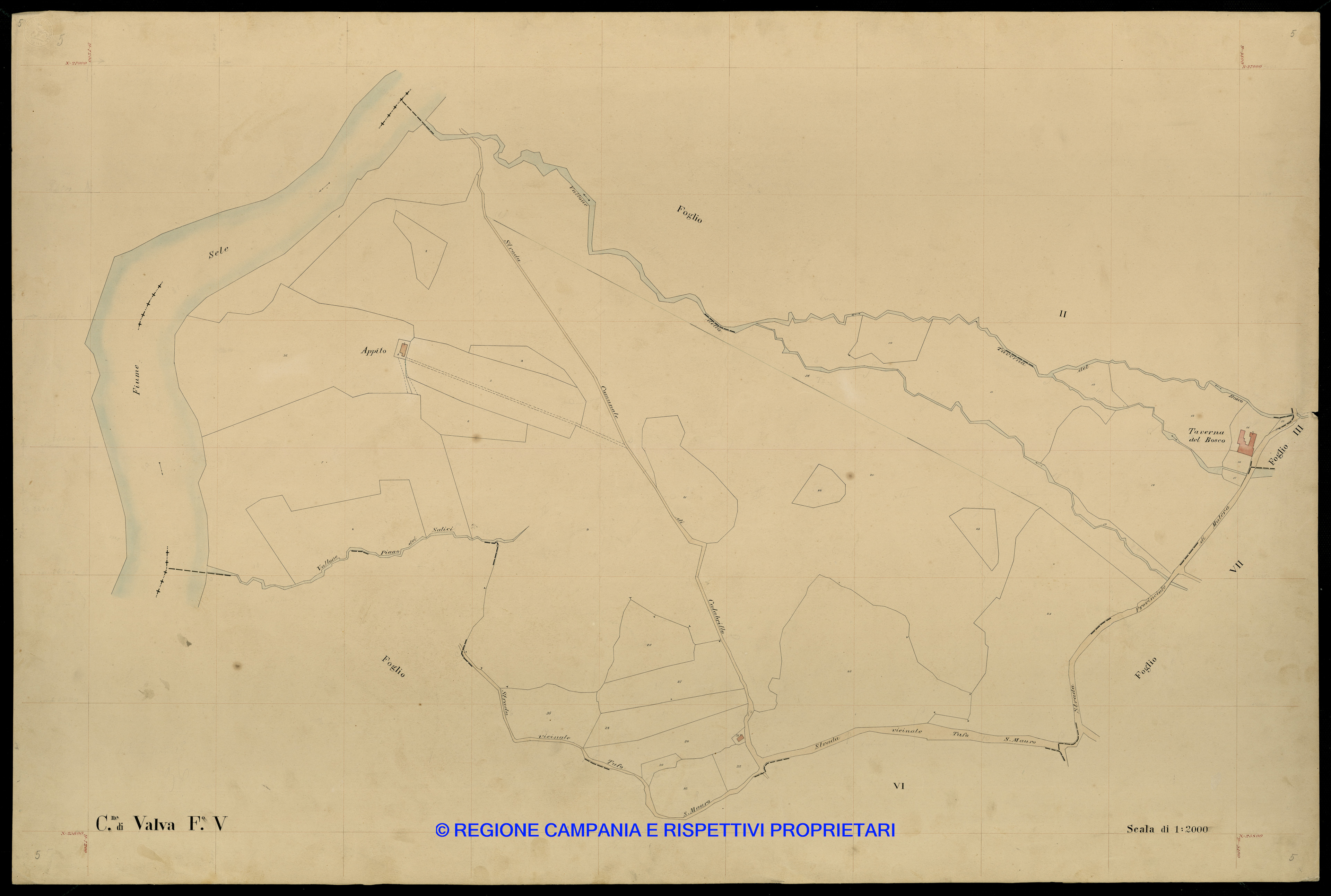 Mappa