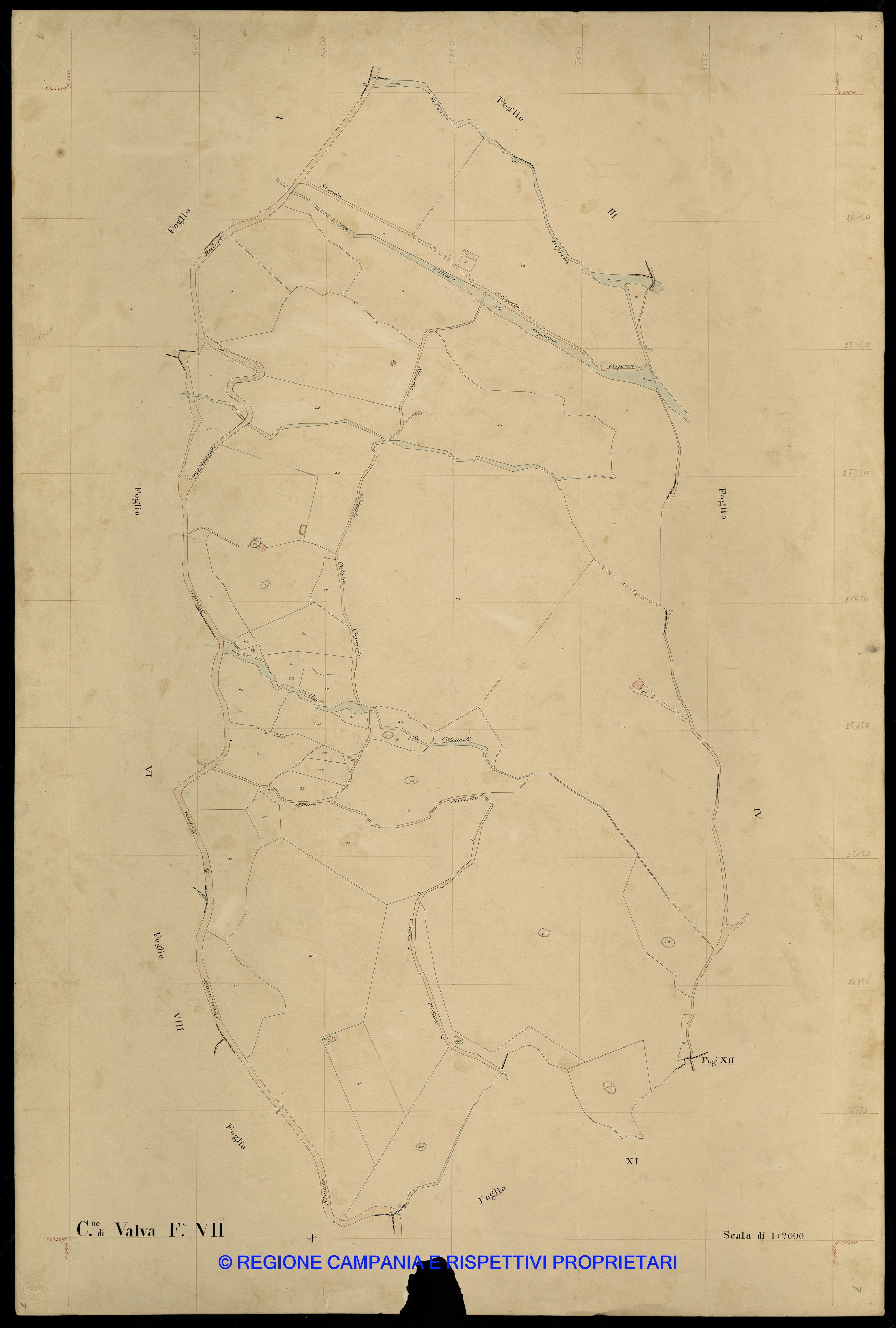 Mappa