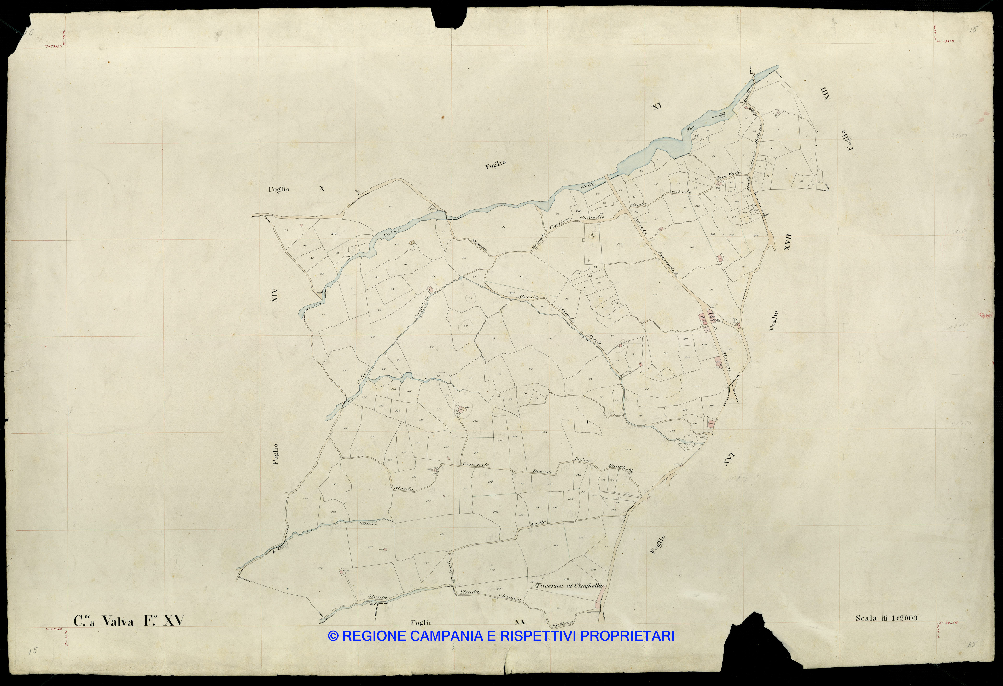 Mappa