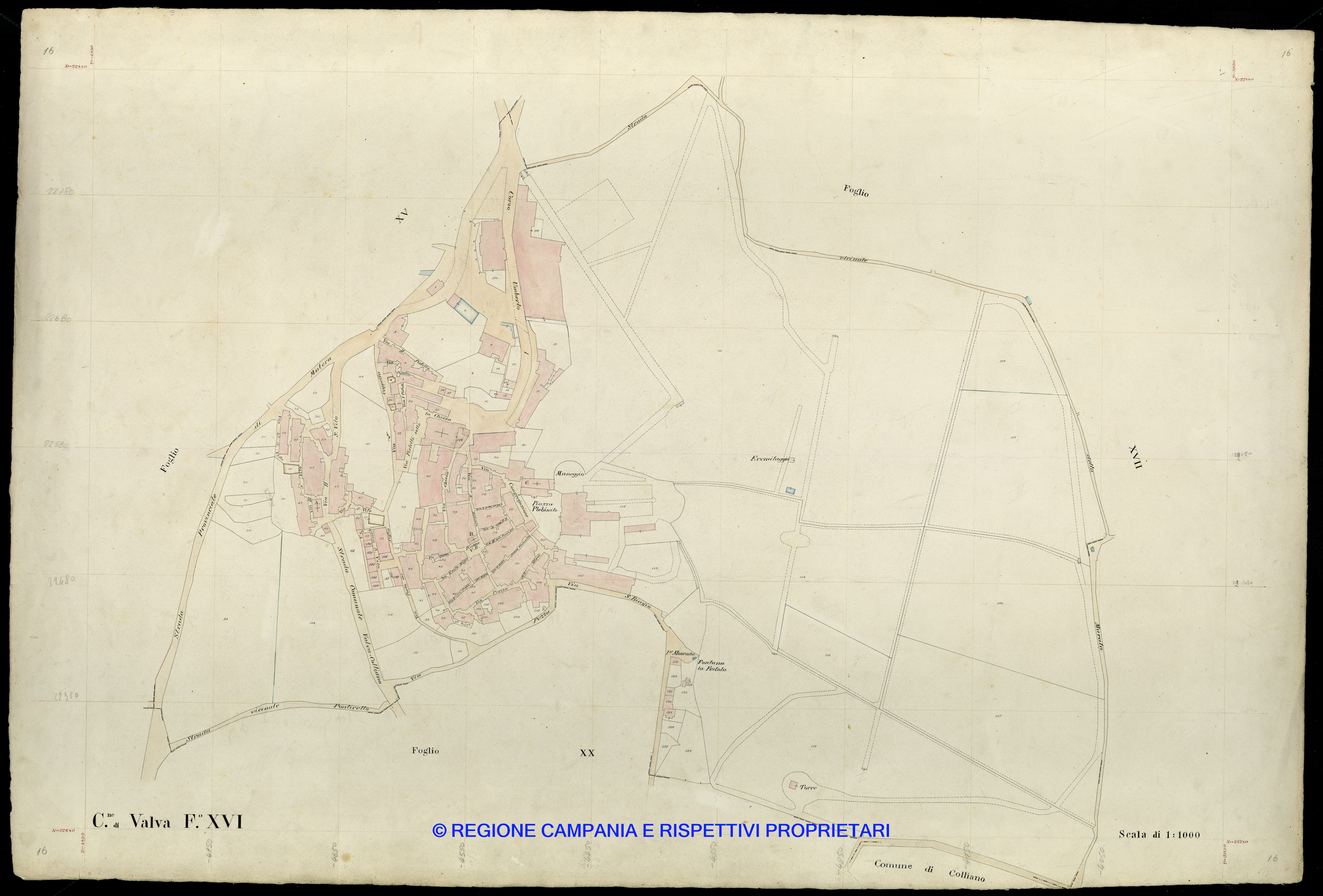 Mappa