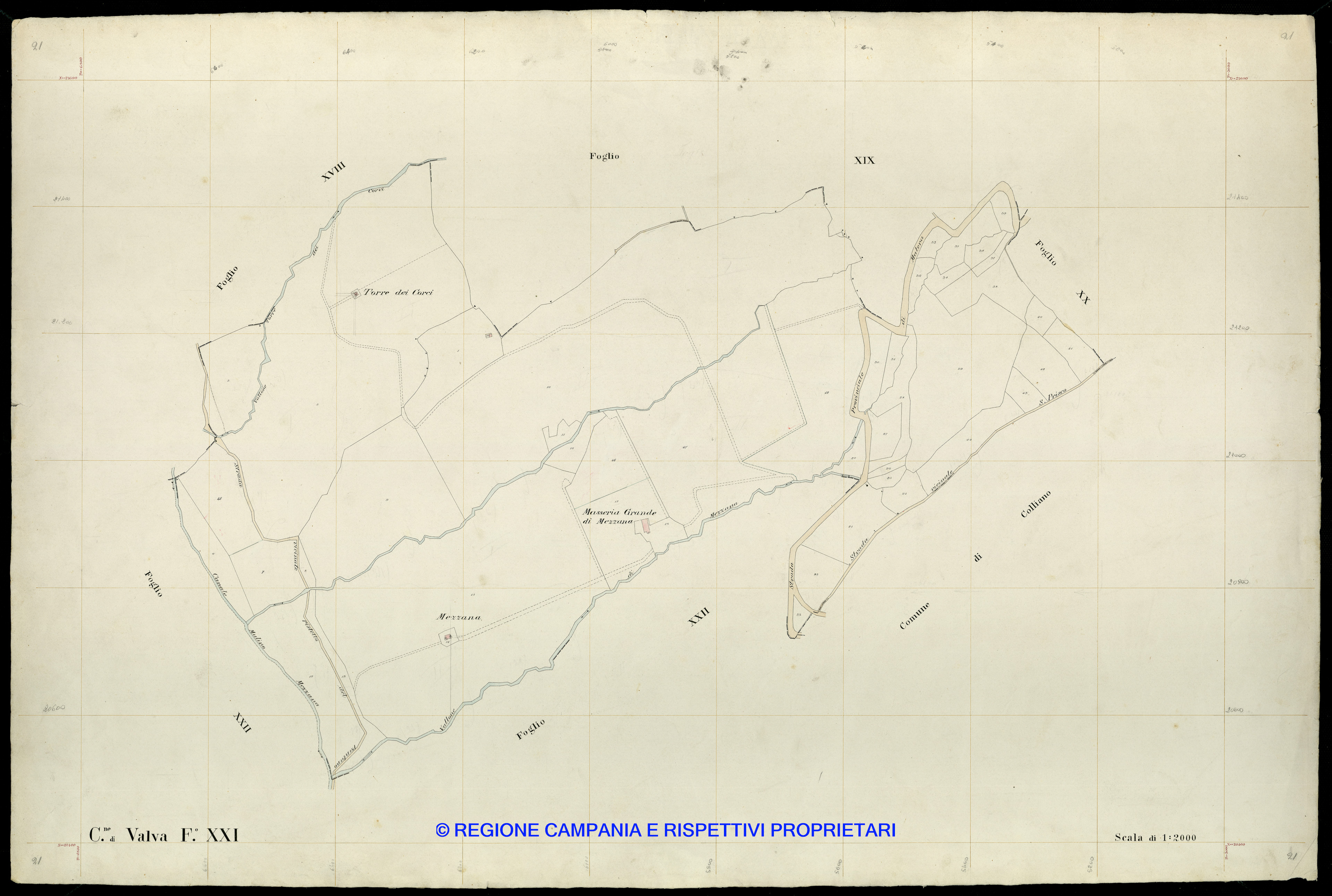 Mappa