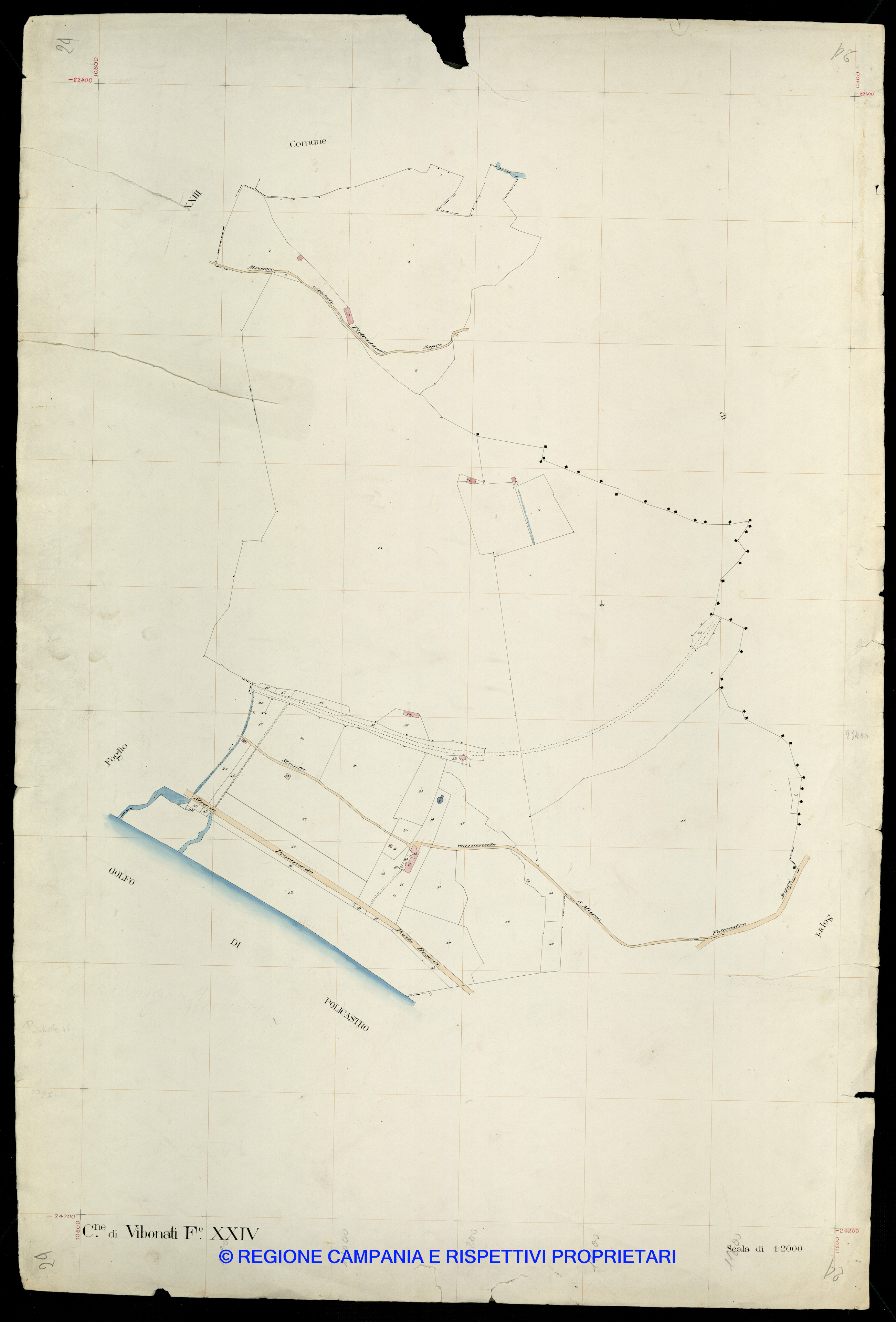 Mappa