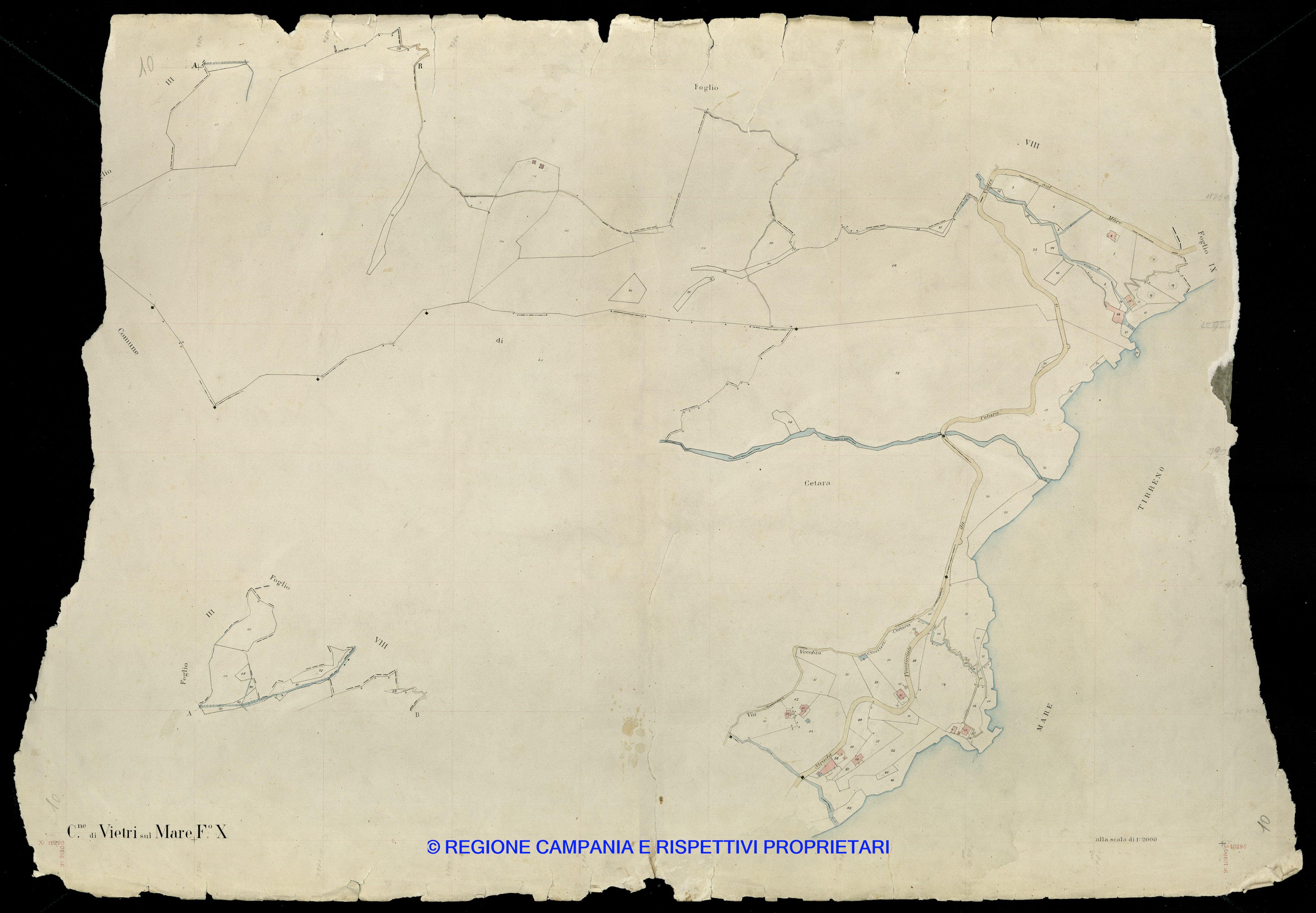 Mappa