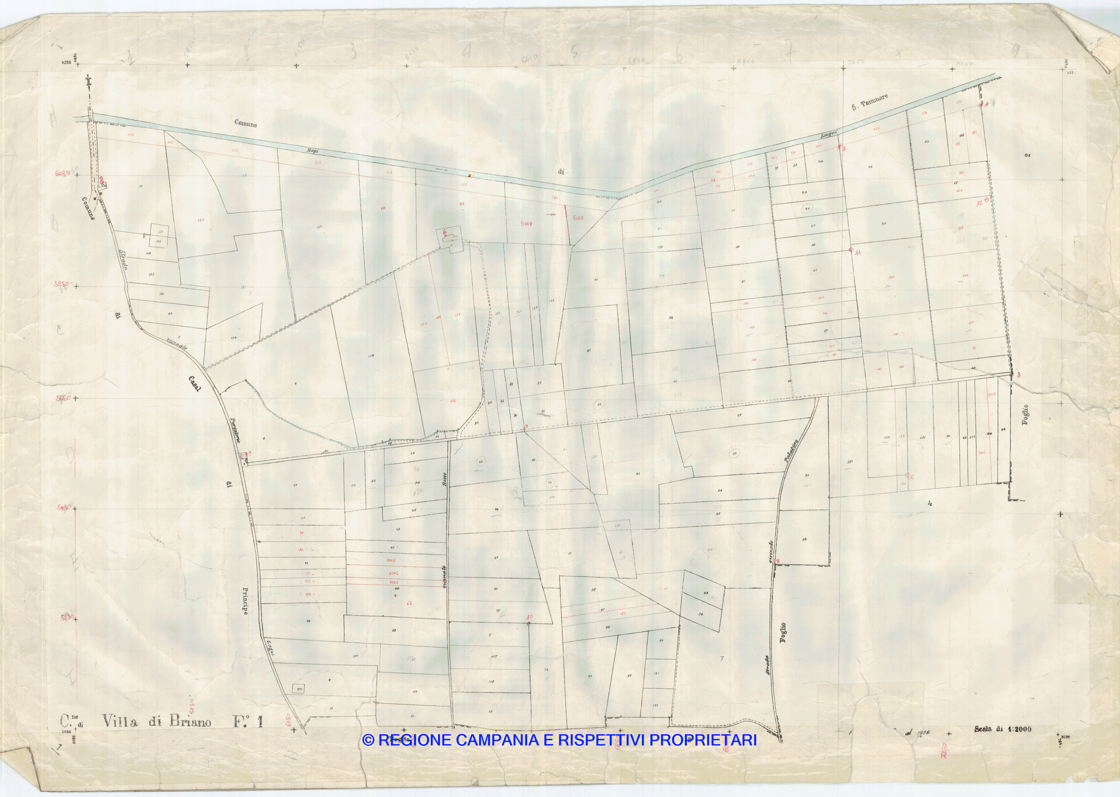 Mappa