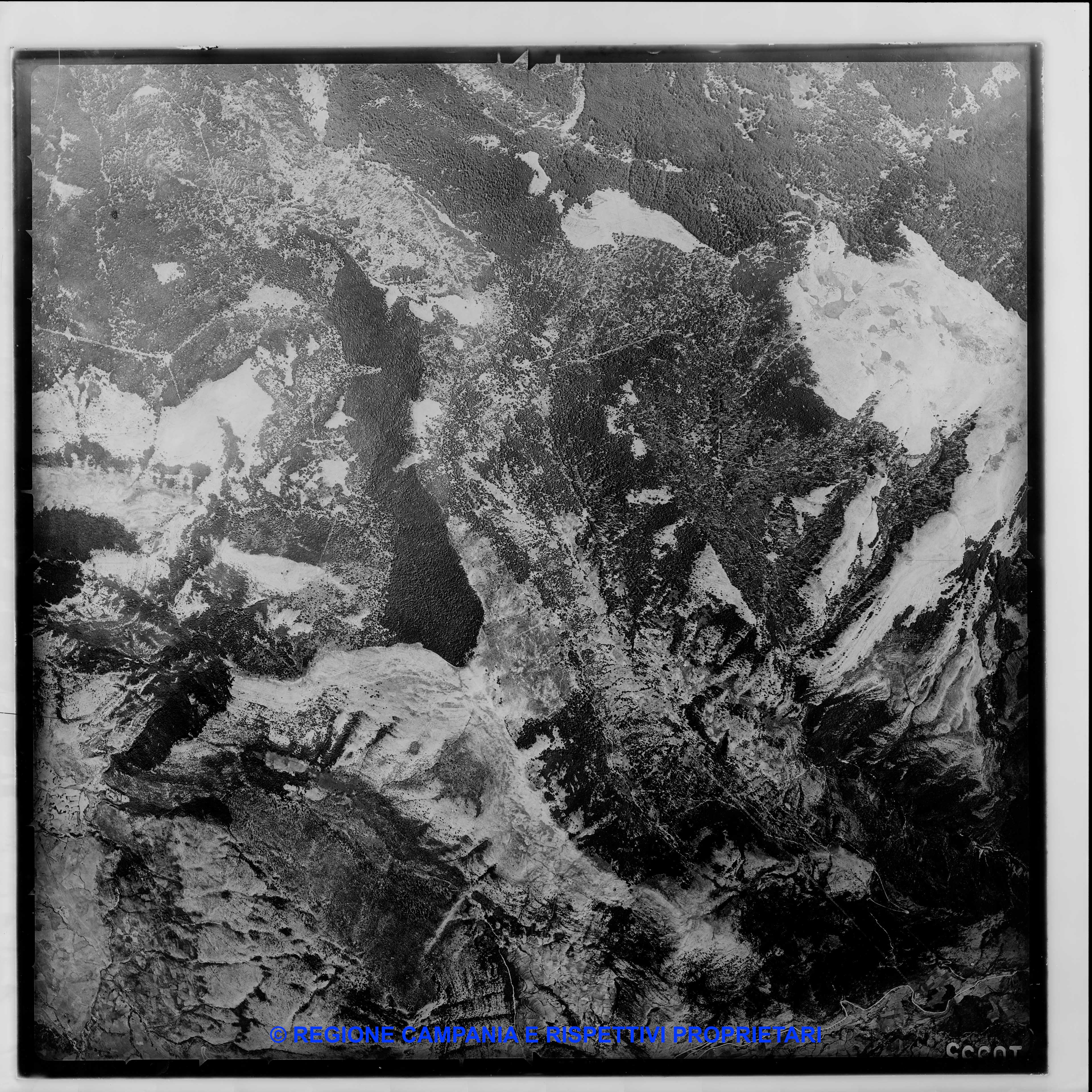 AEROFOTO IGM - 1954-1955 10555