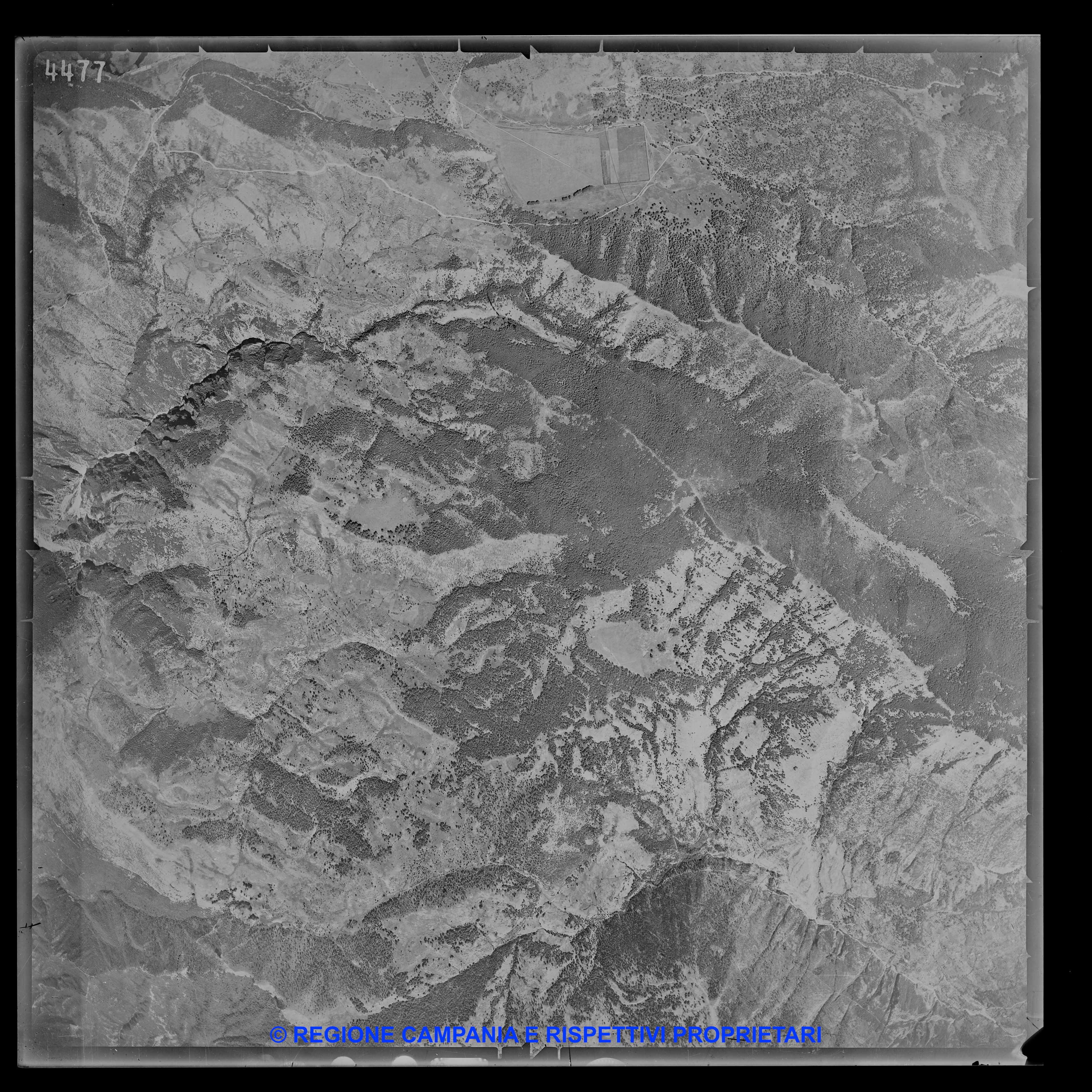 AEROFOTO IGM - 1954-1955 4477