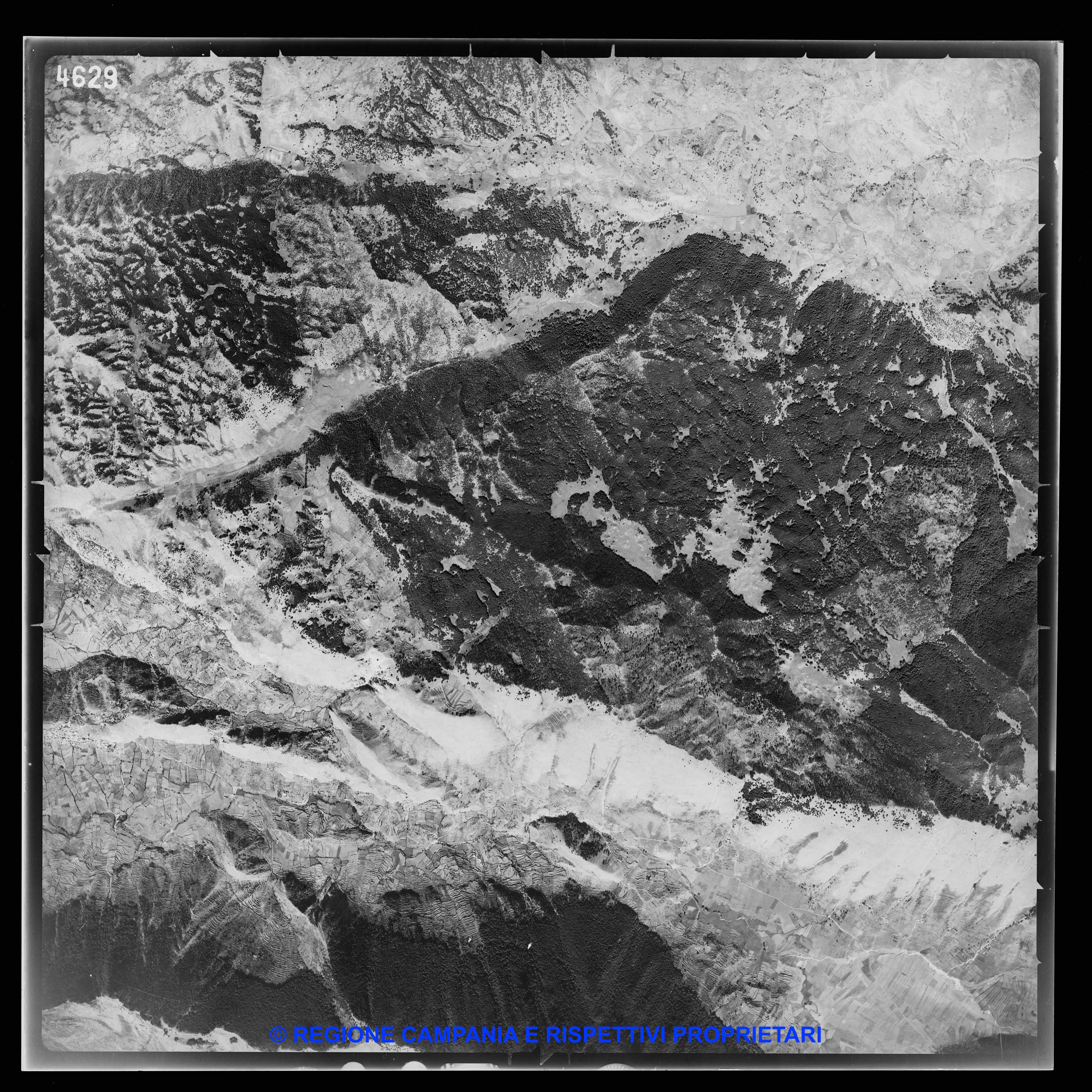 AEROFOTO IGM - 1954-1955 4629