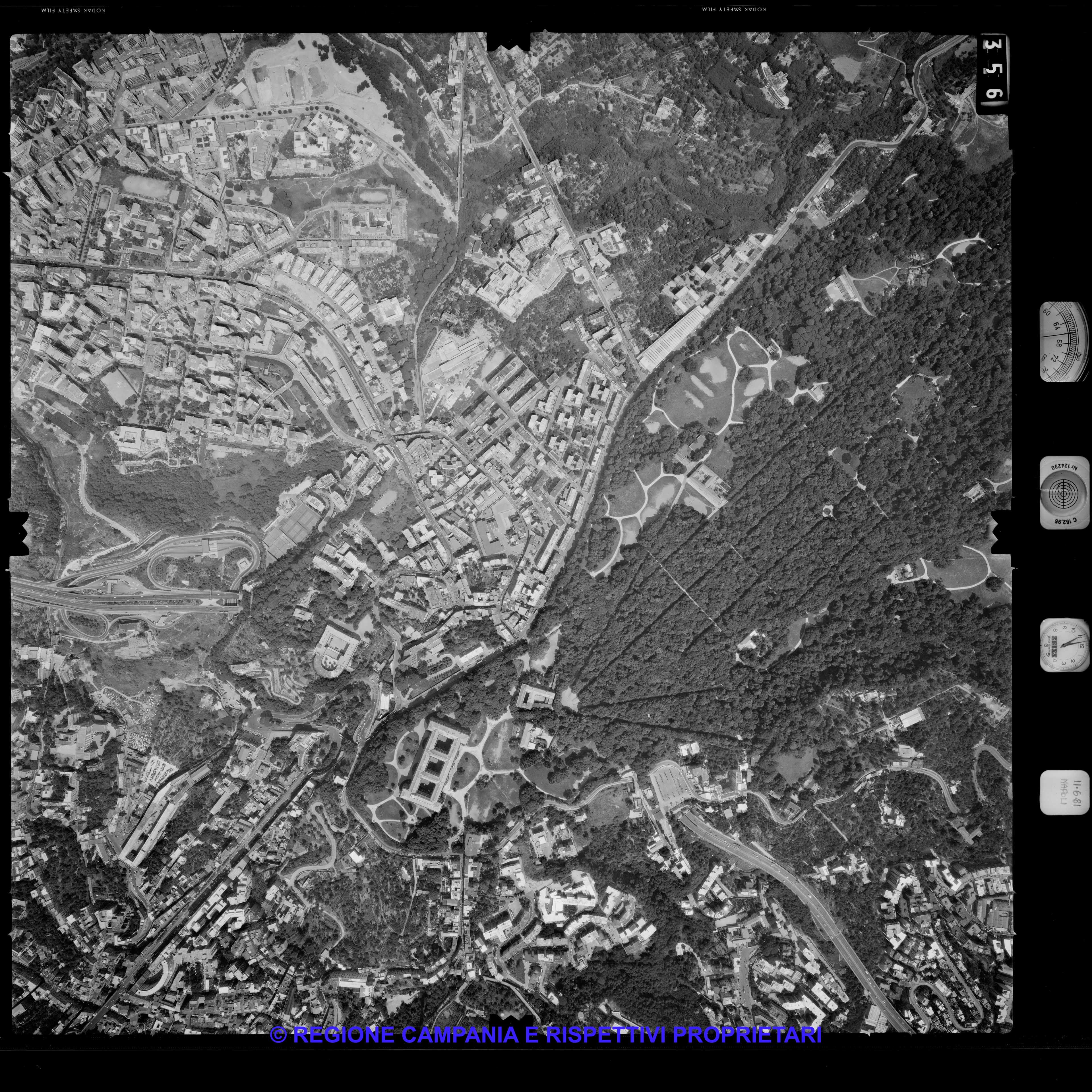 AEROFOTO IGM 1981 356 AEROFOTO IGM 1981 356