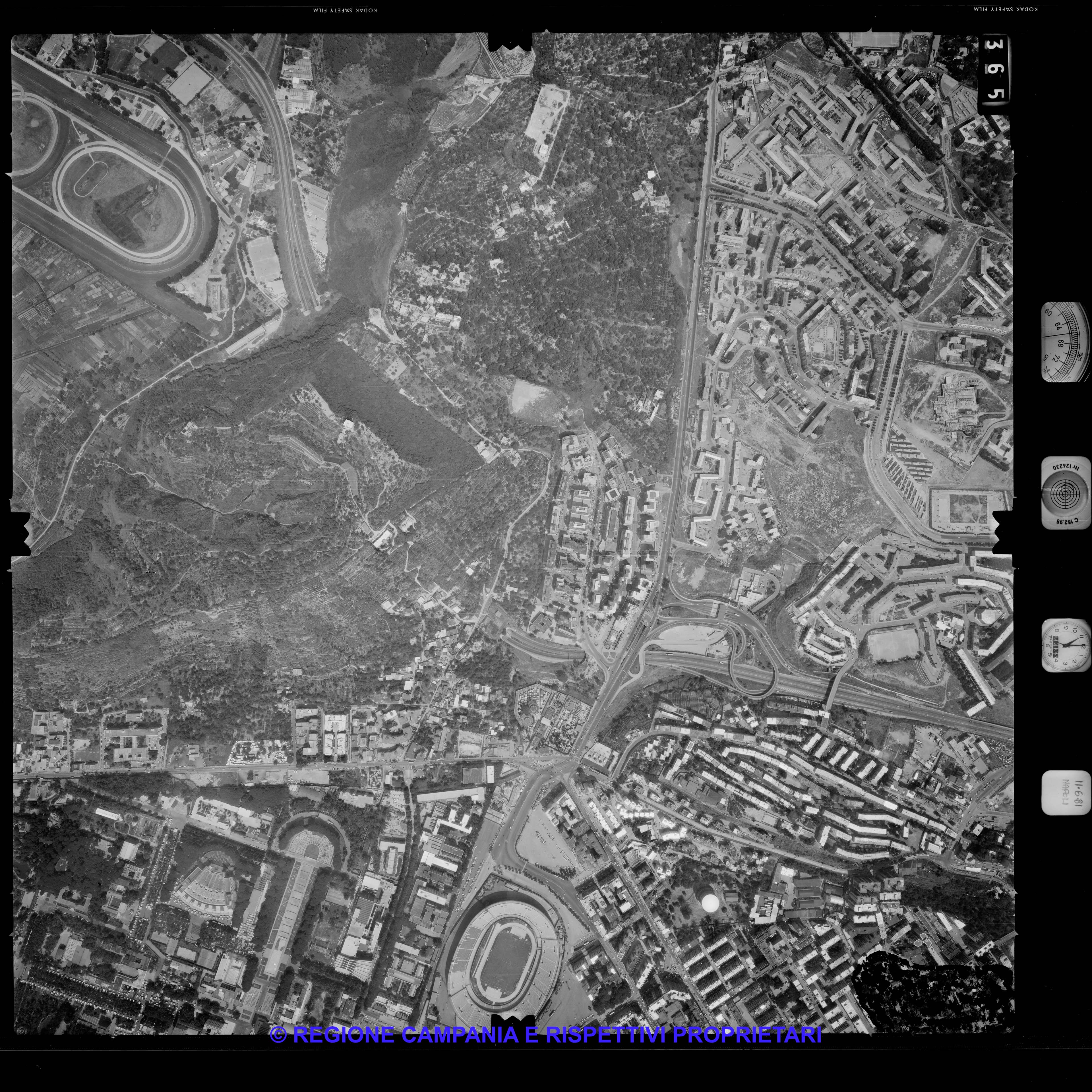 AEROFOTO IGM 1981 365 AEROFOTO IGM 1981 365