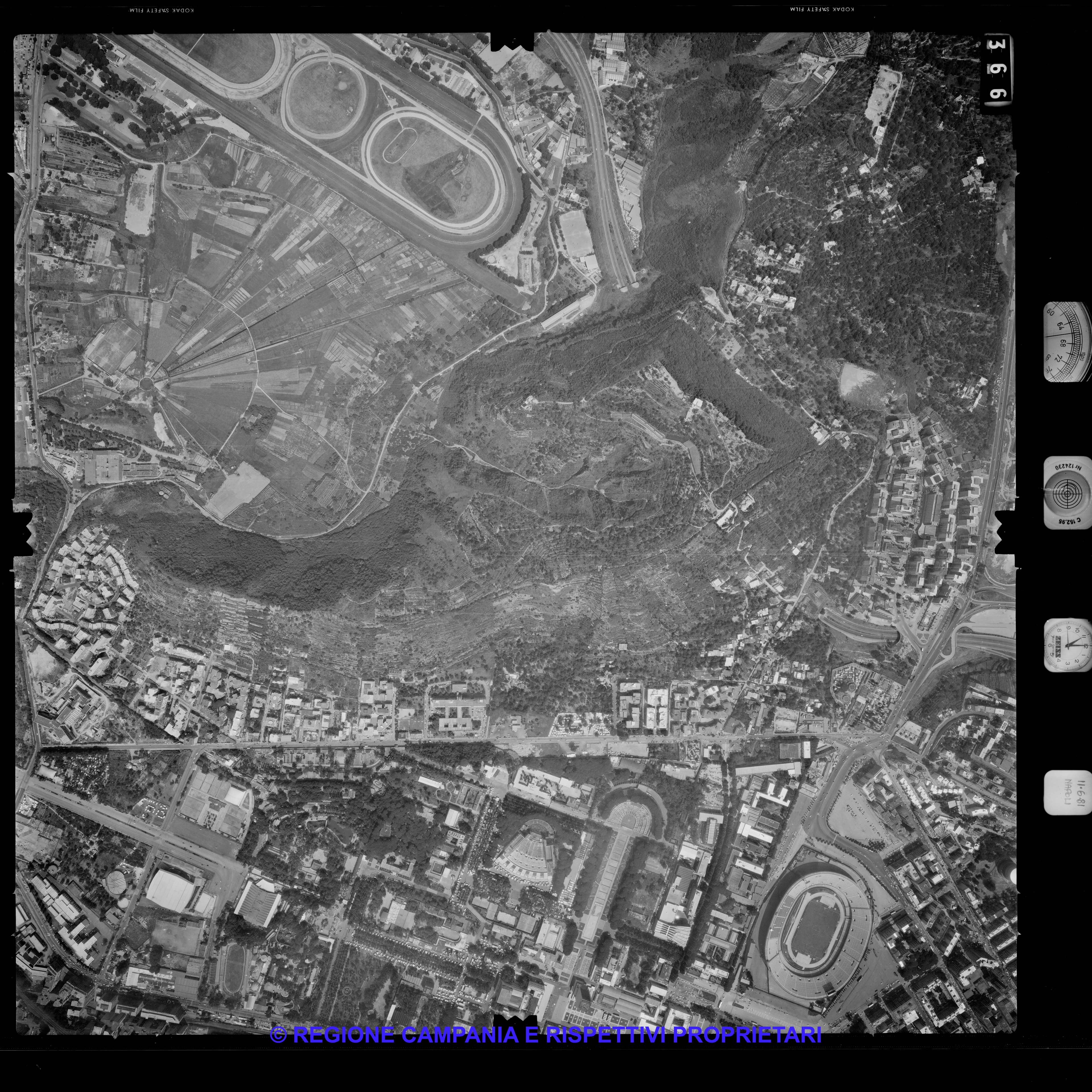 AEROFOTO IGM 1981 366