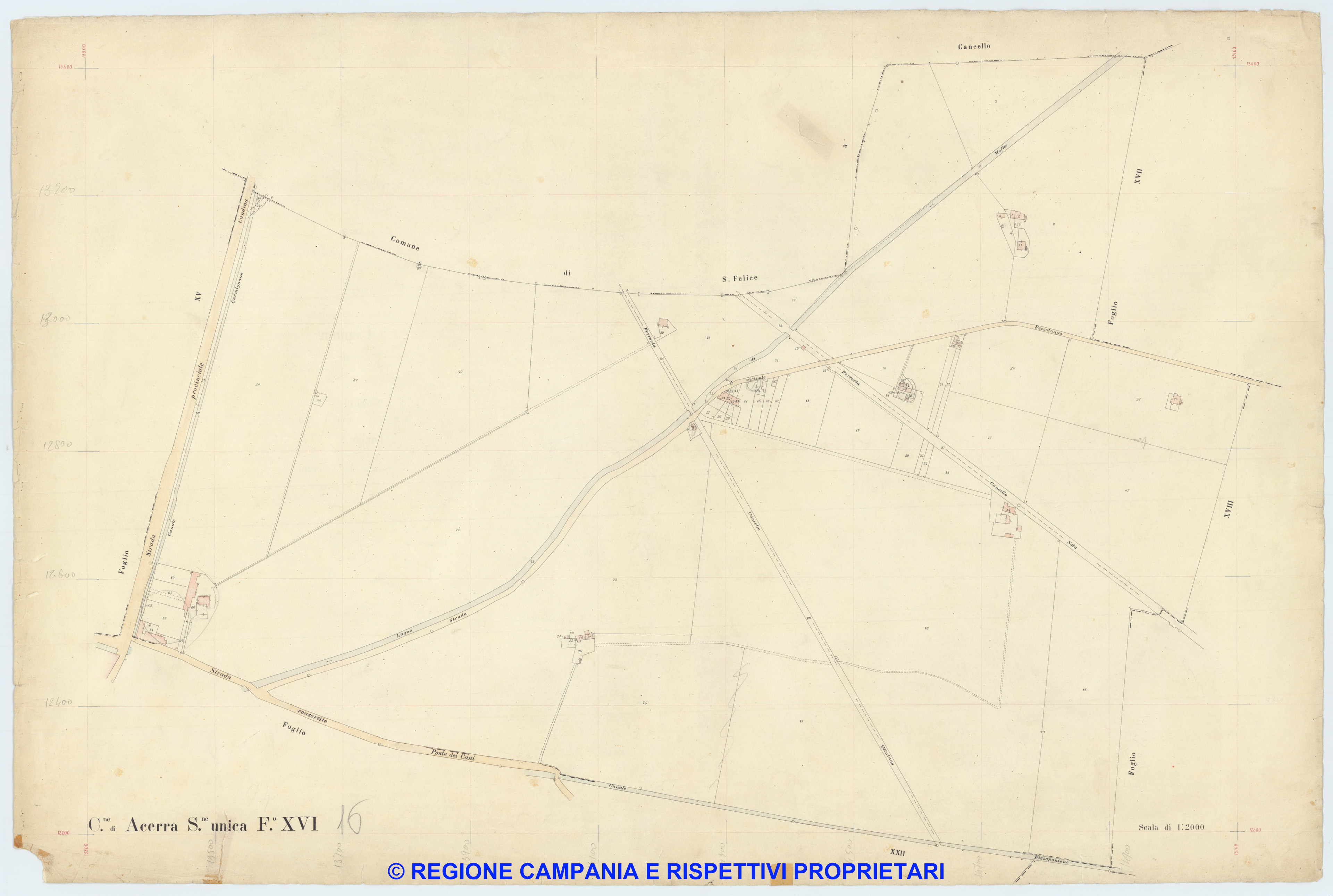 Acerra 16