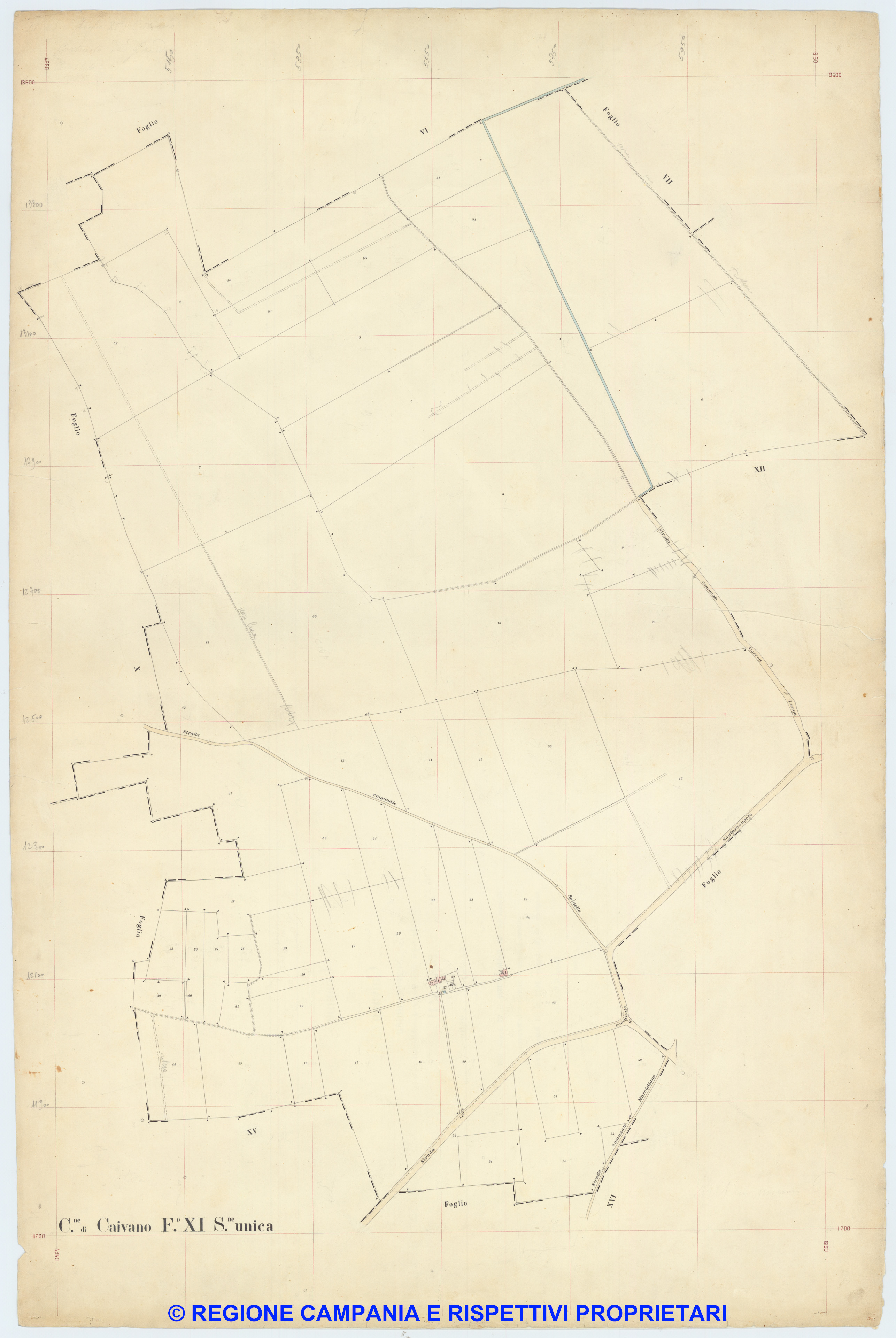 Caivano 11