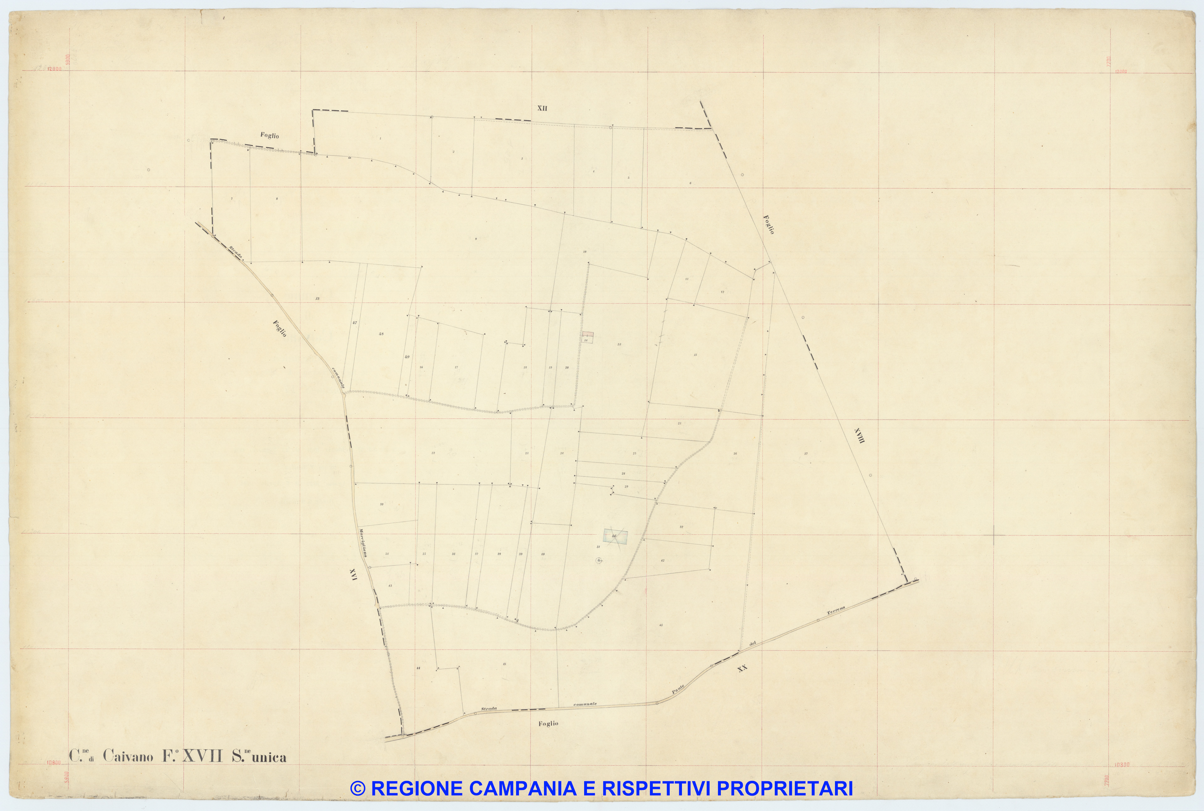 Caivano 17