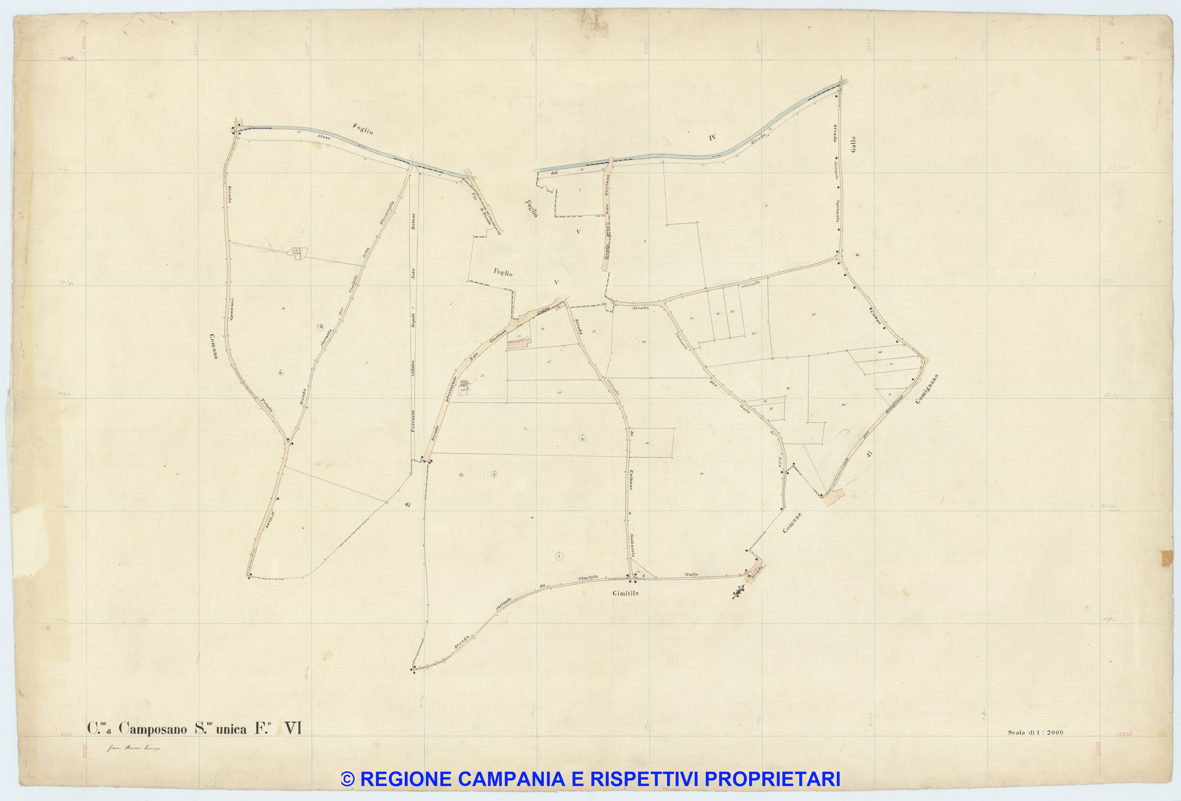 Camposano 6