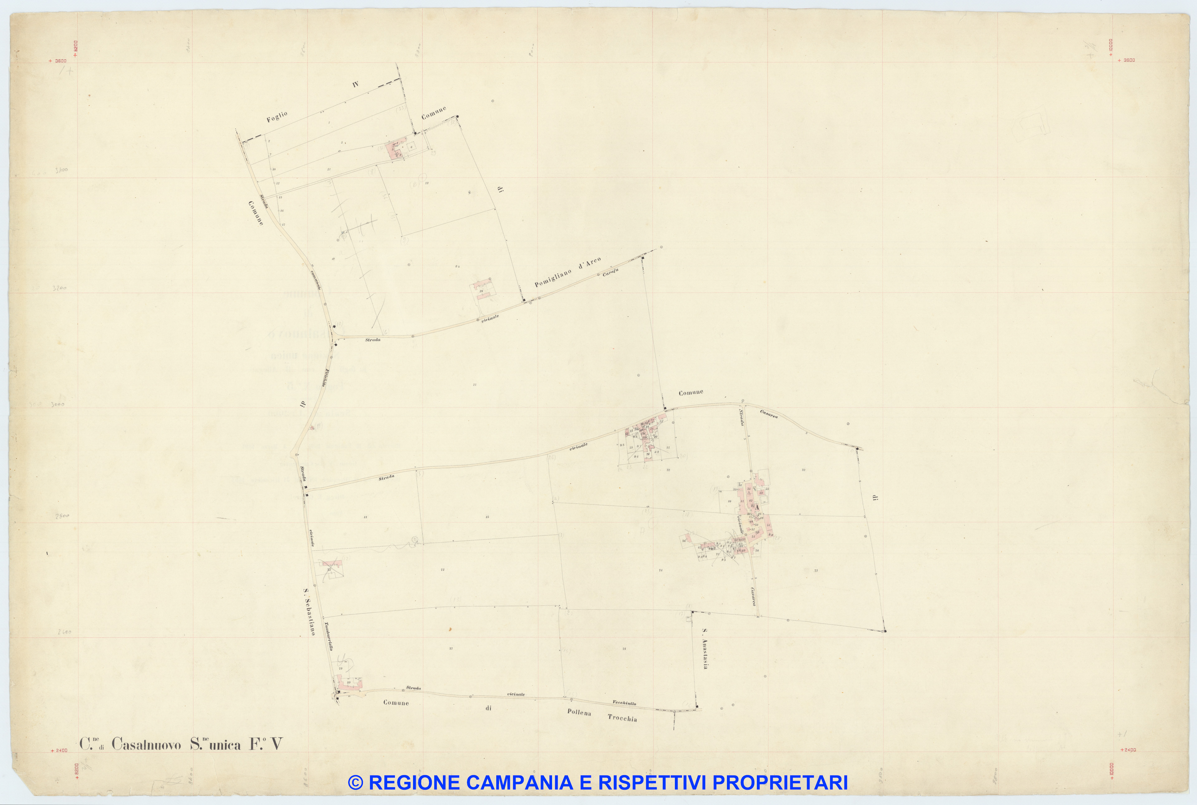 Casalnuovo 5