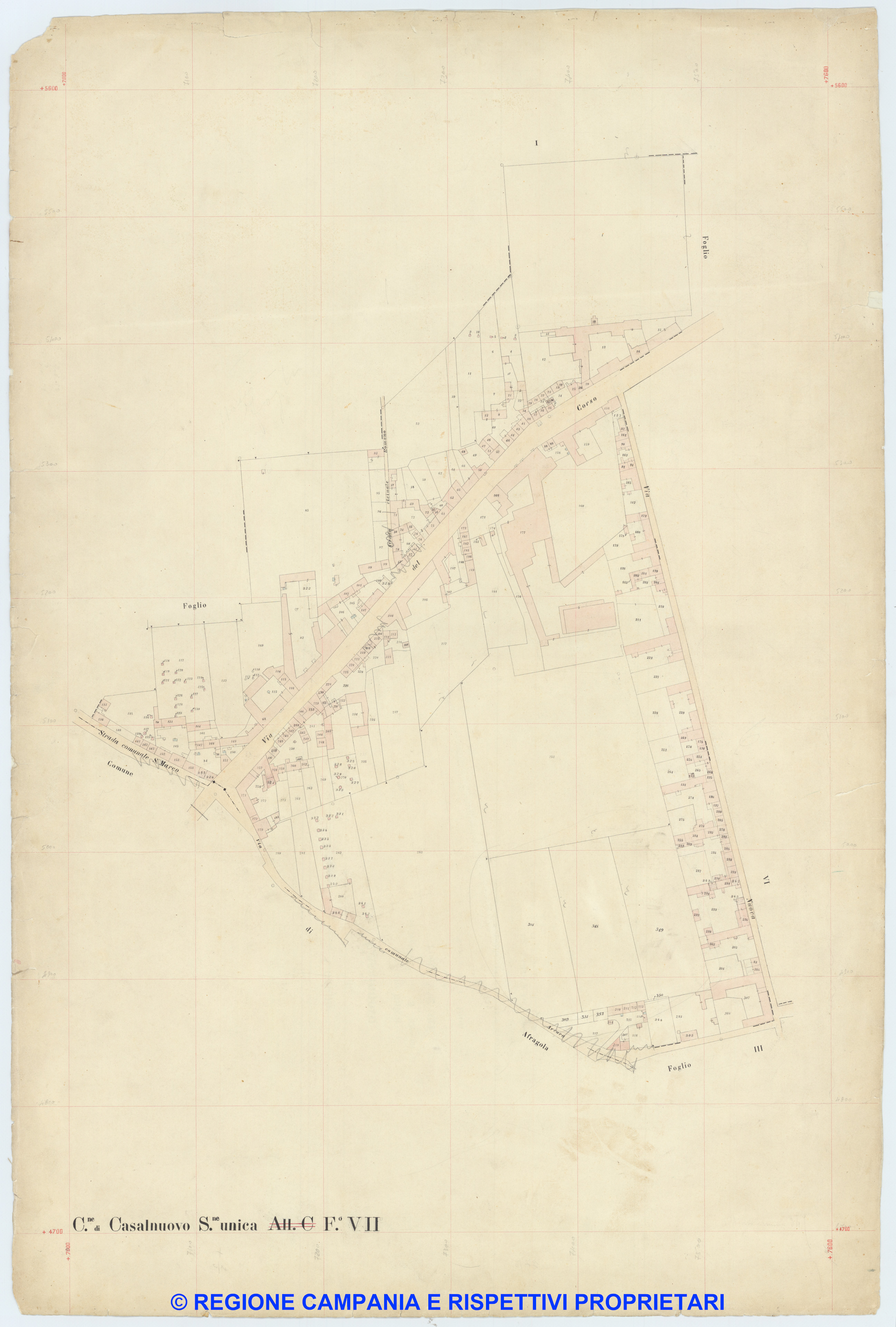 Casalnuovo 7