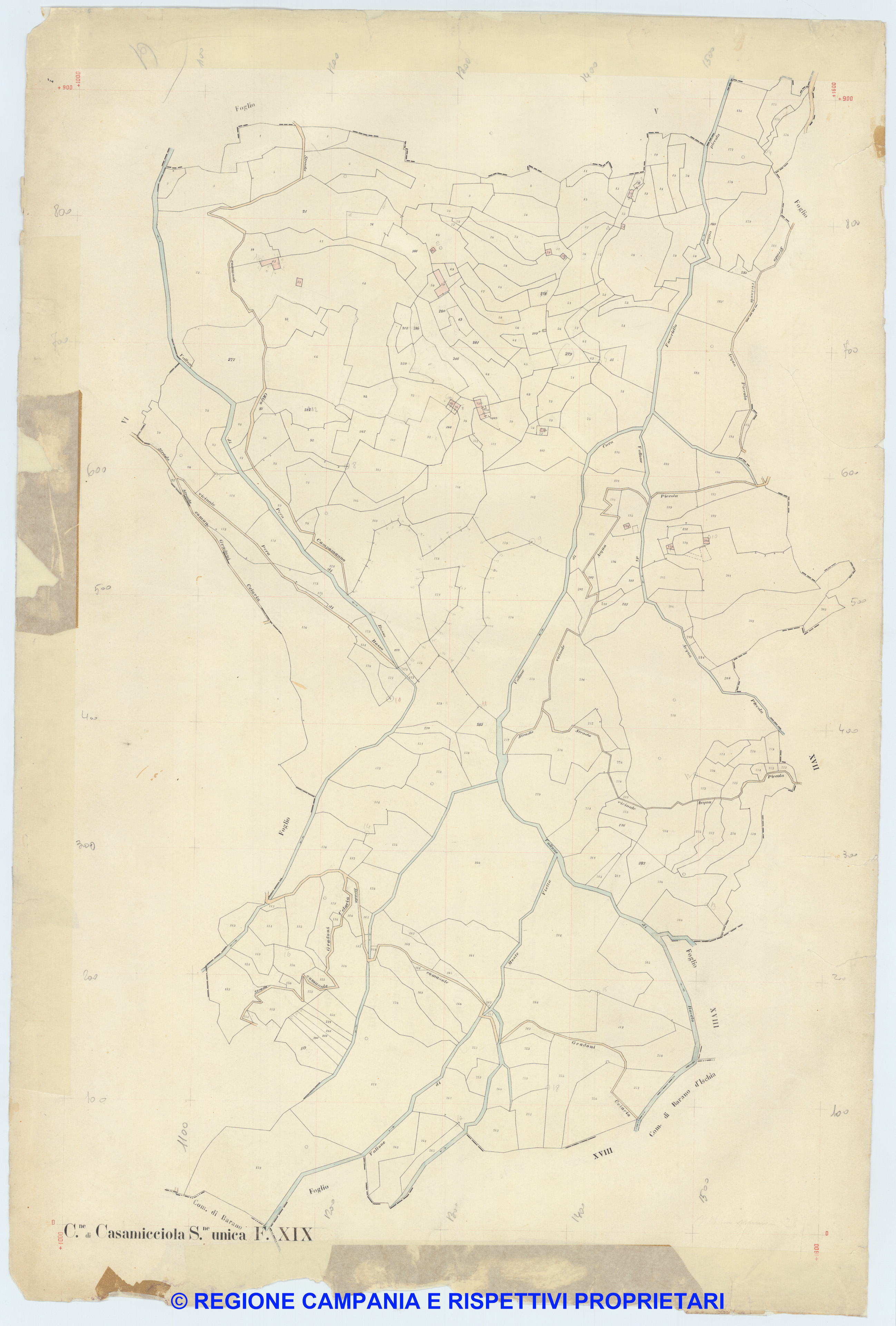 Casamicciola 19
