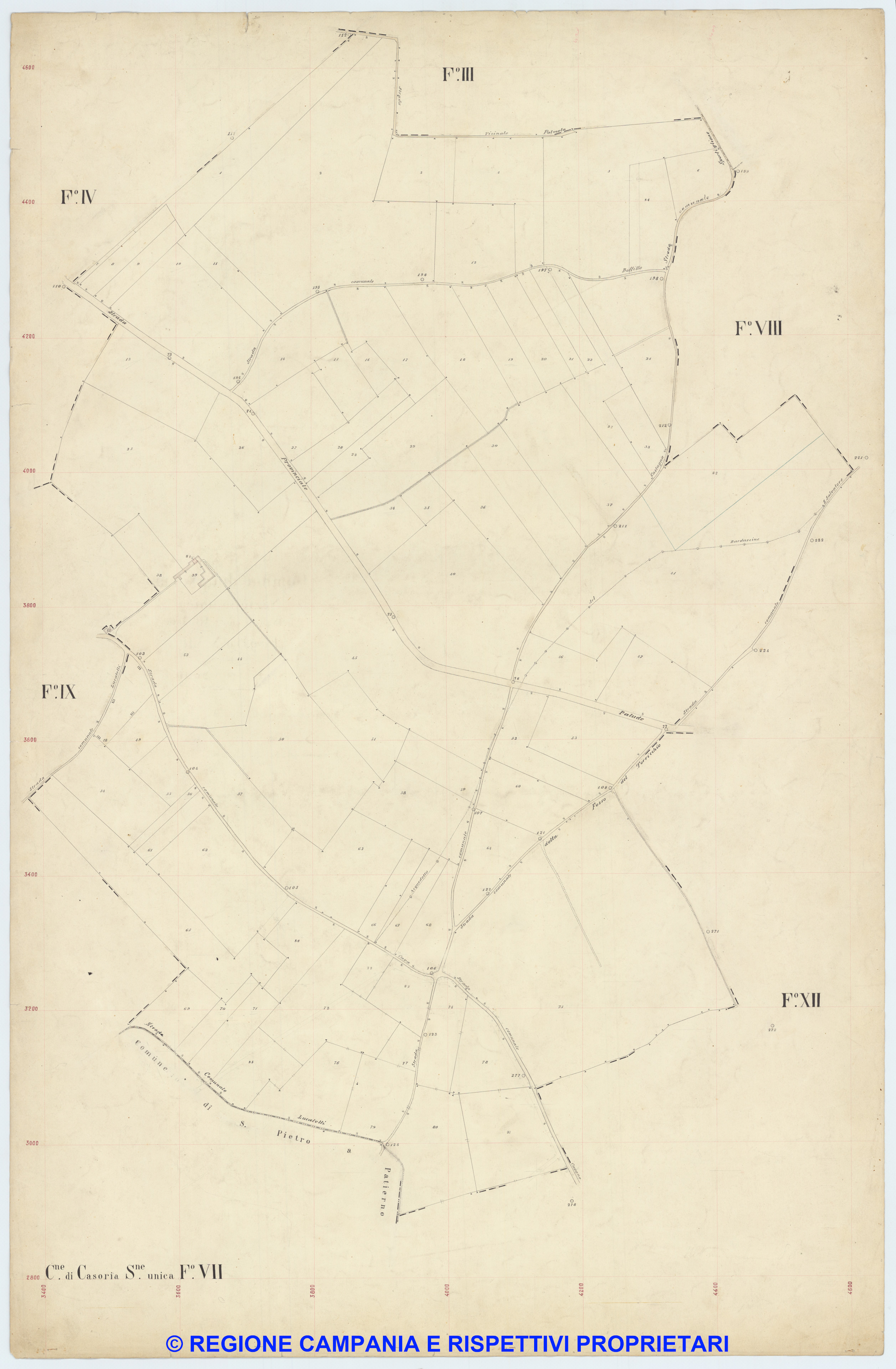 Casoria 7