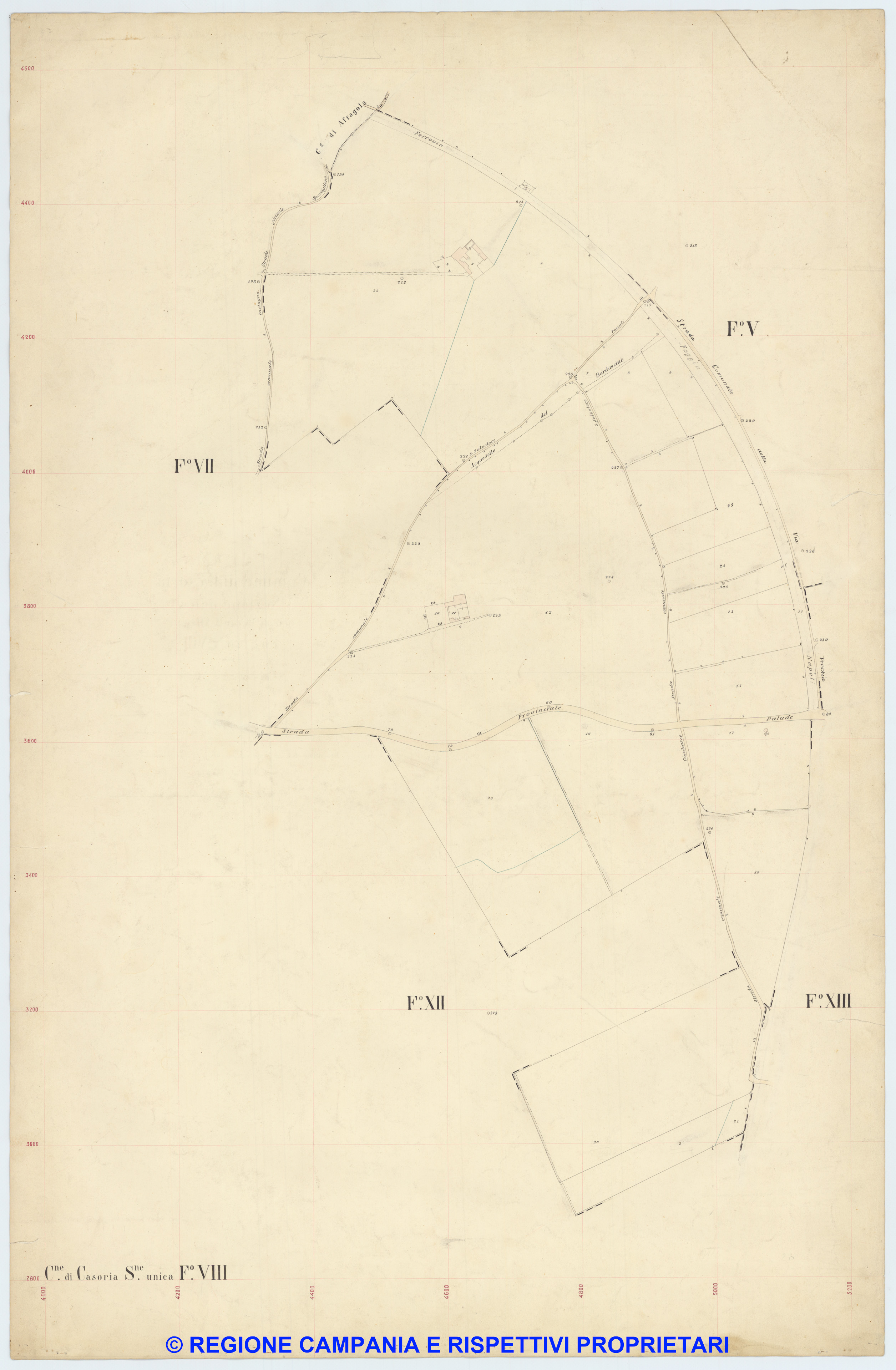 Casoria 8