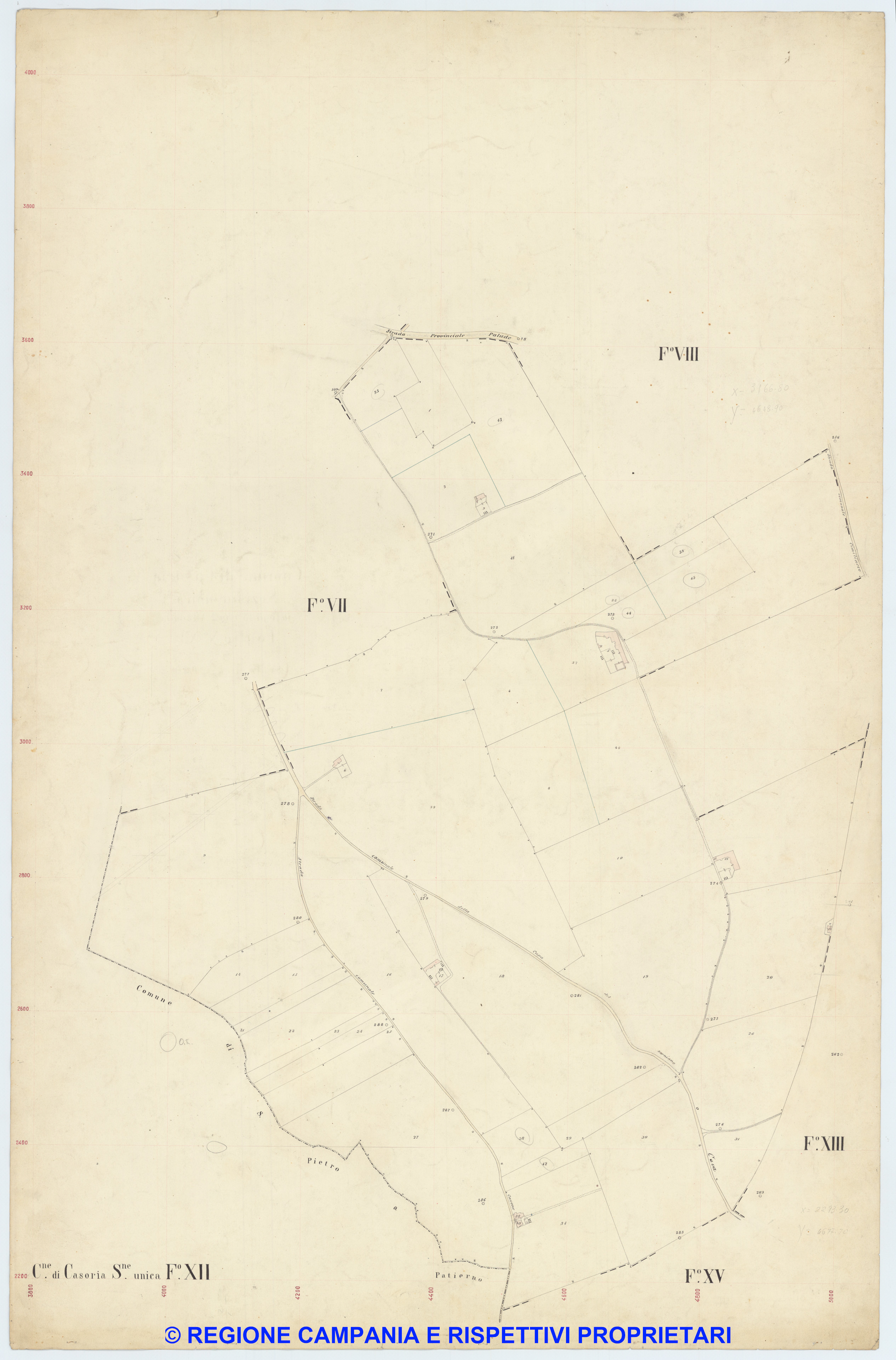 Casoria 12
