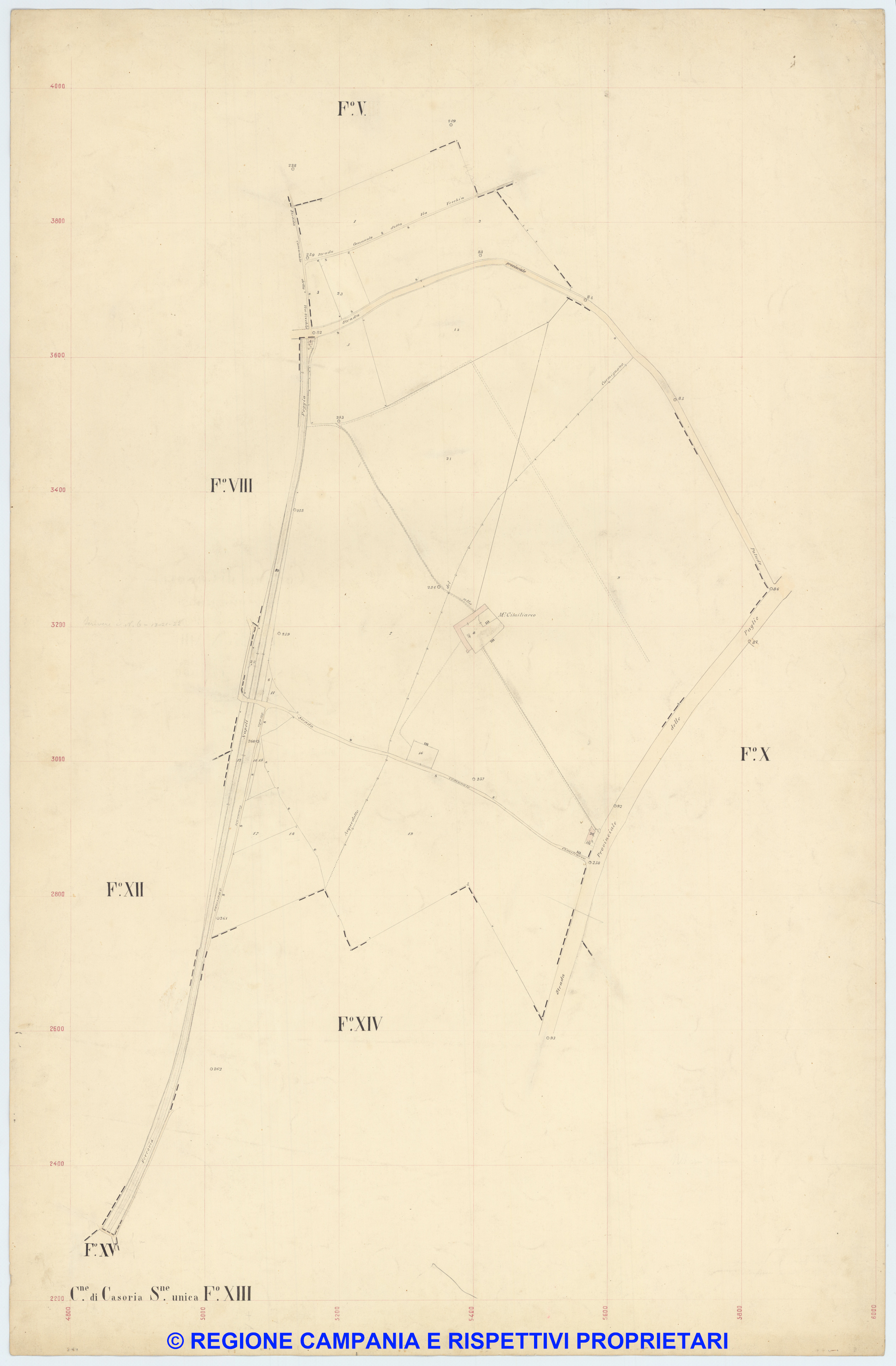 Casoria 13