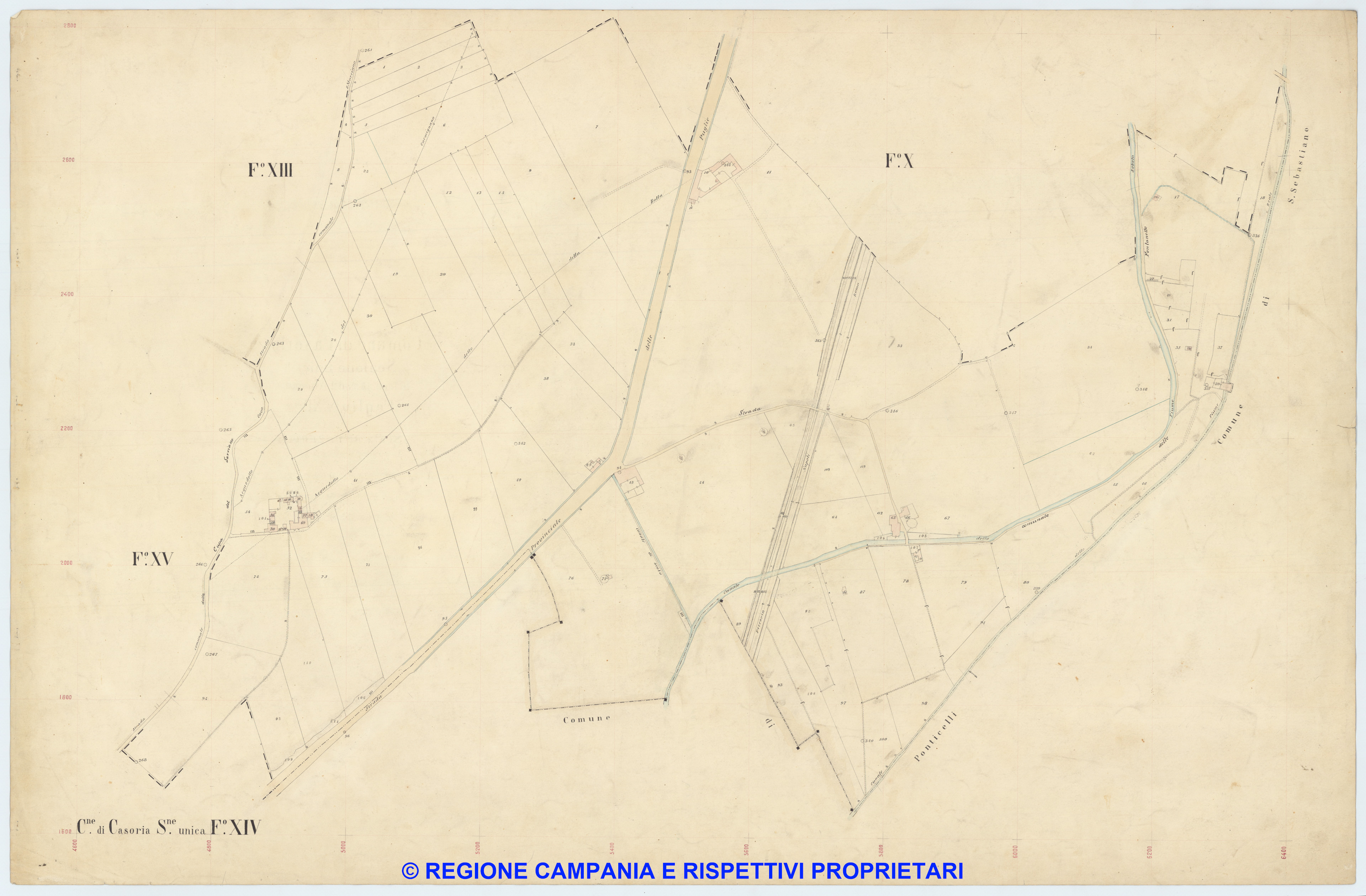 Casoria 14