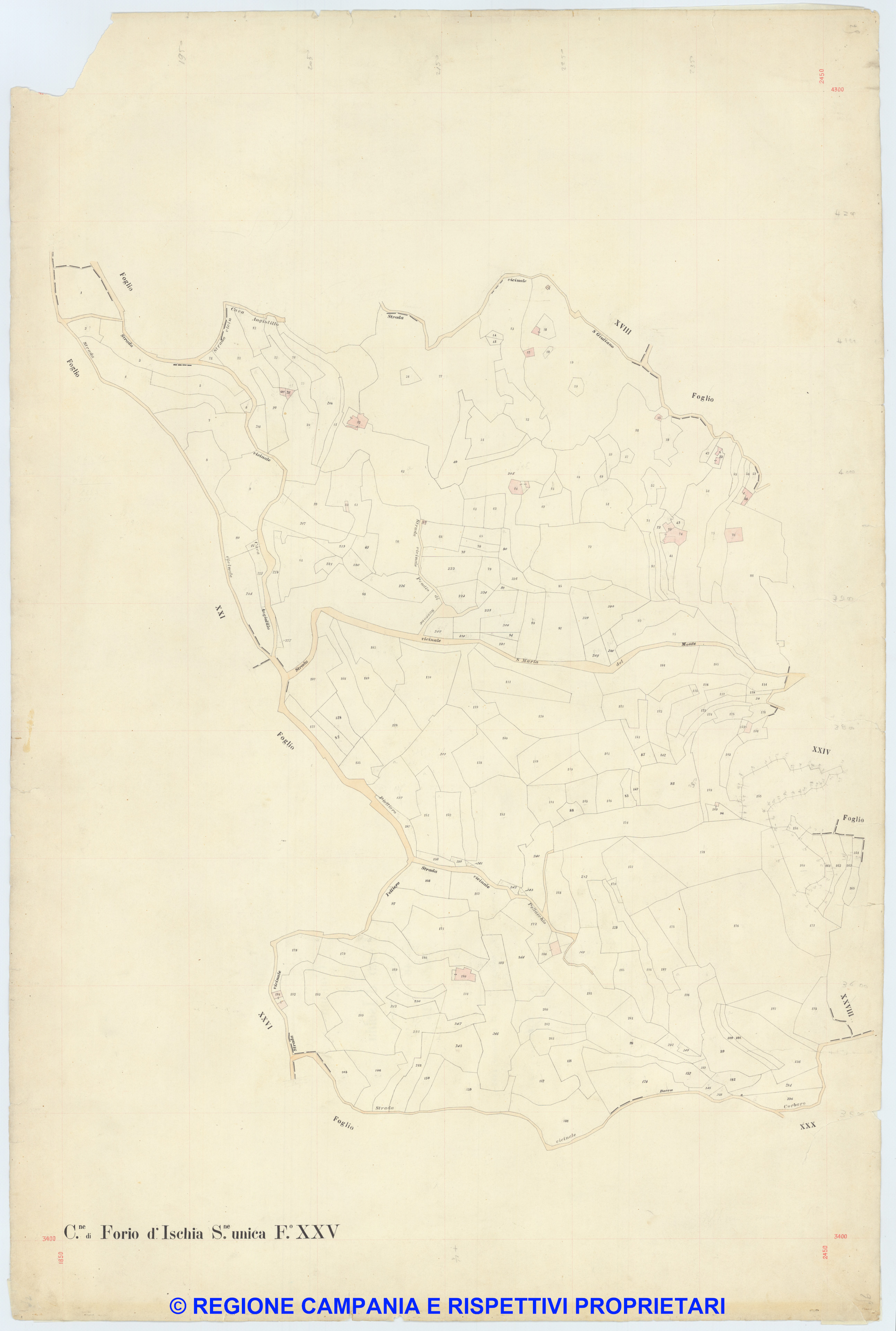 Forio d'Ischia 25