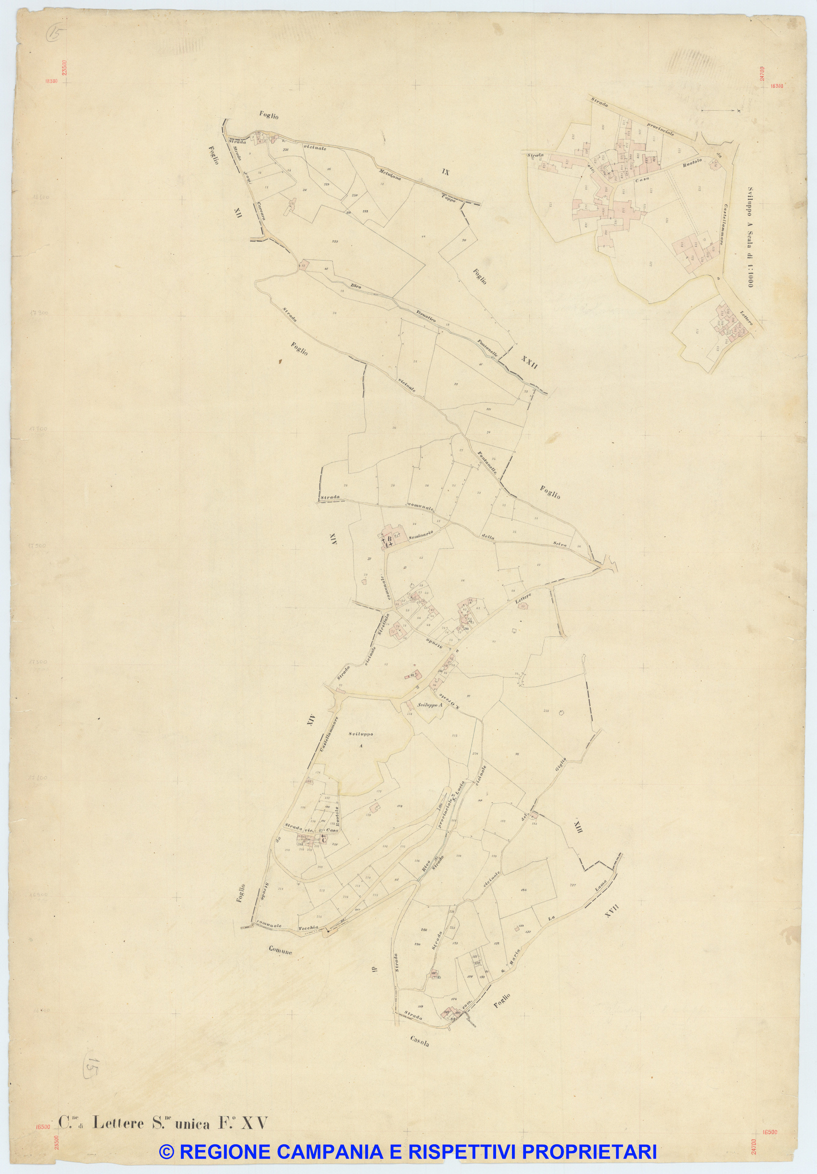 Lettere 15