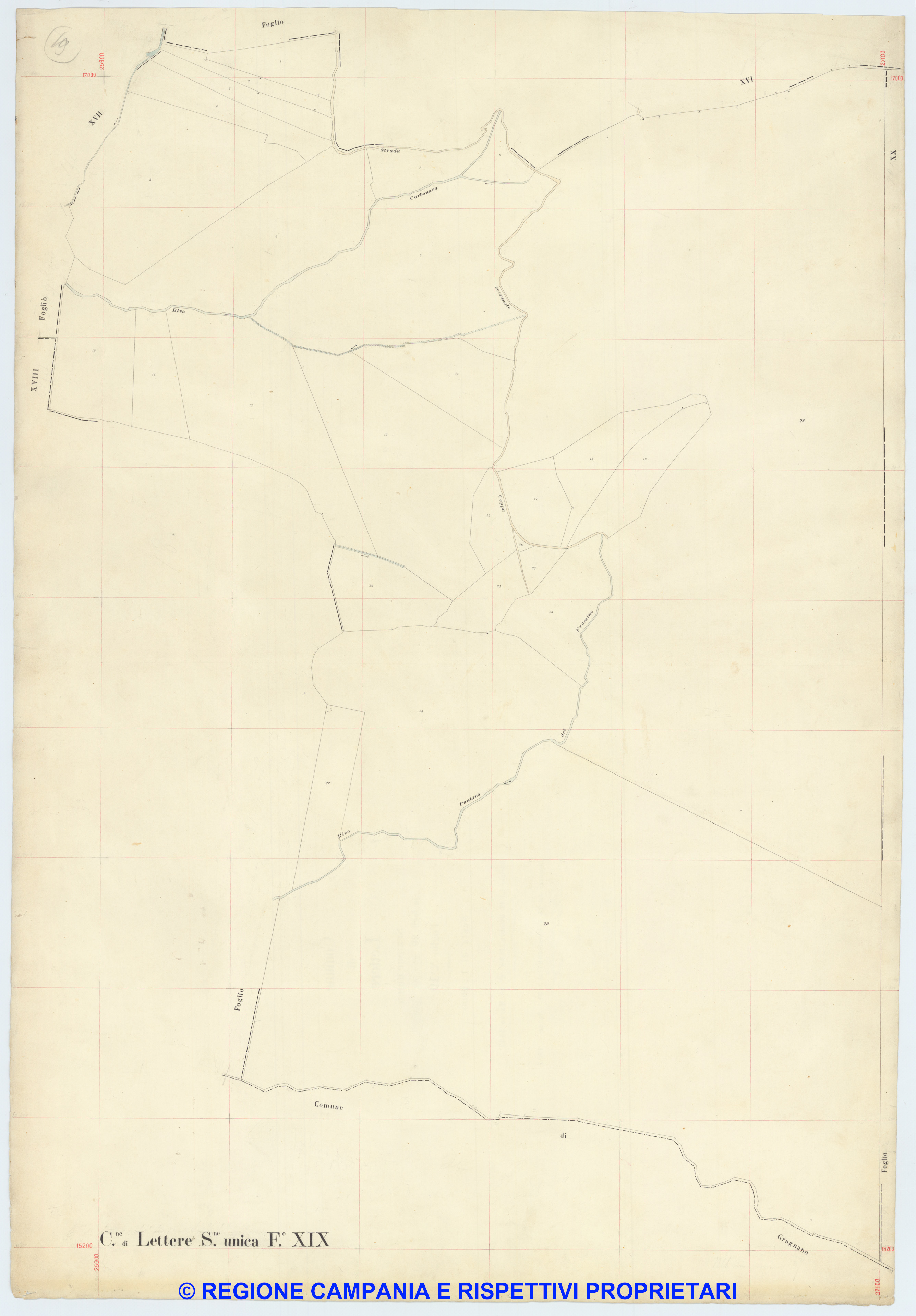 Lettere 19