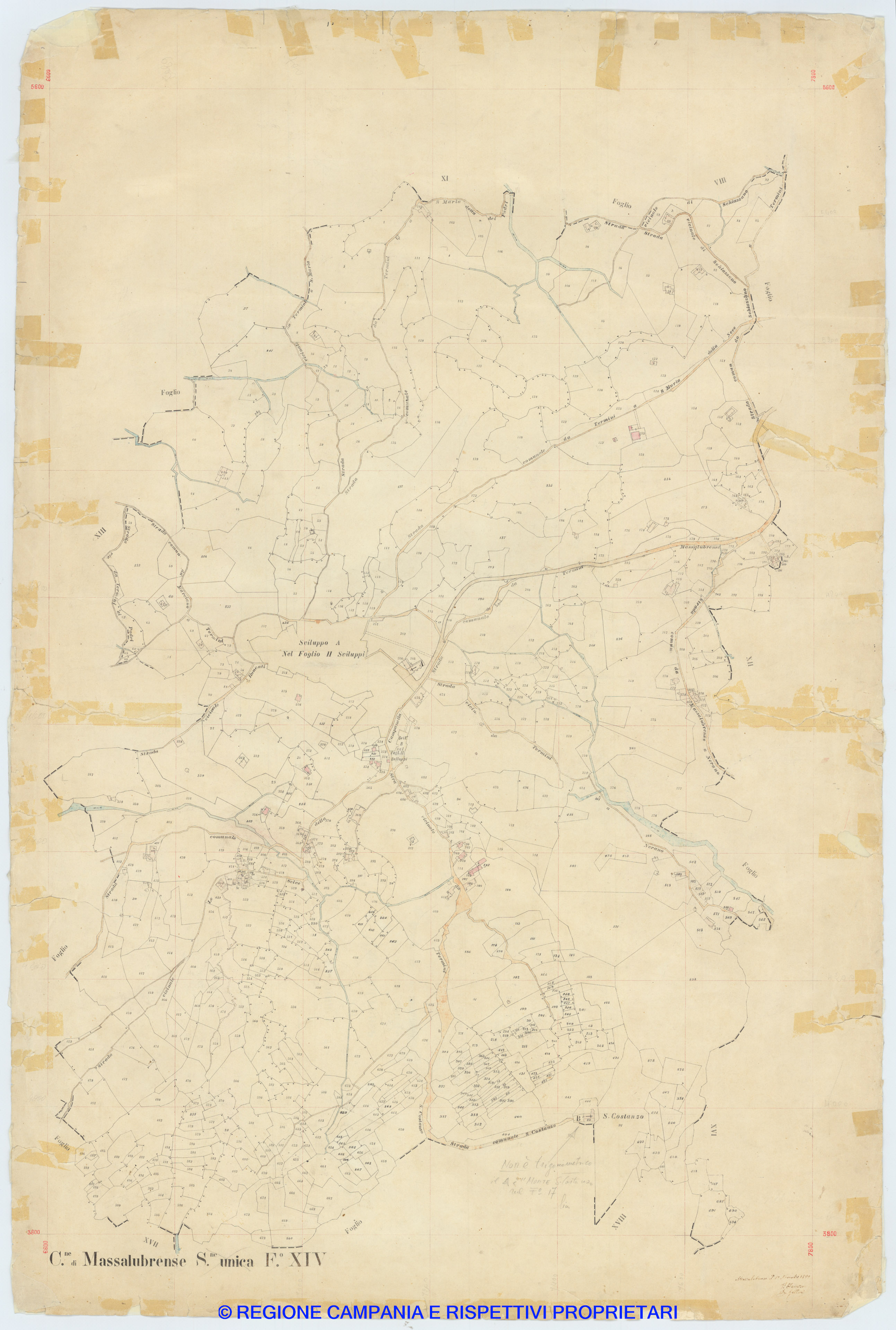 Massalubrense 14