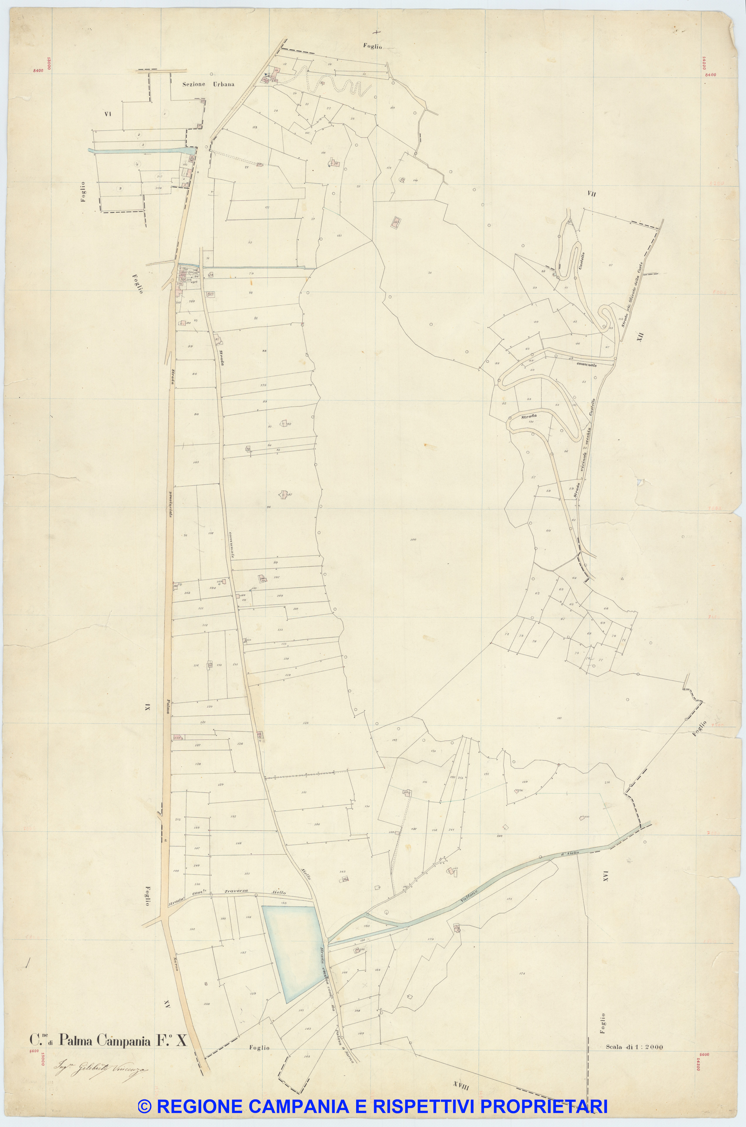 Palma Campania 10