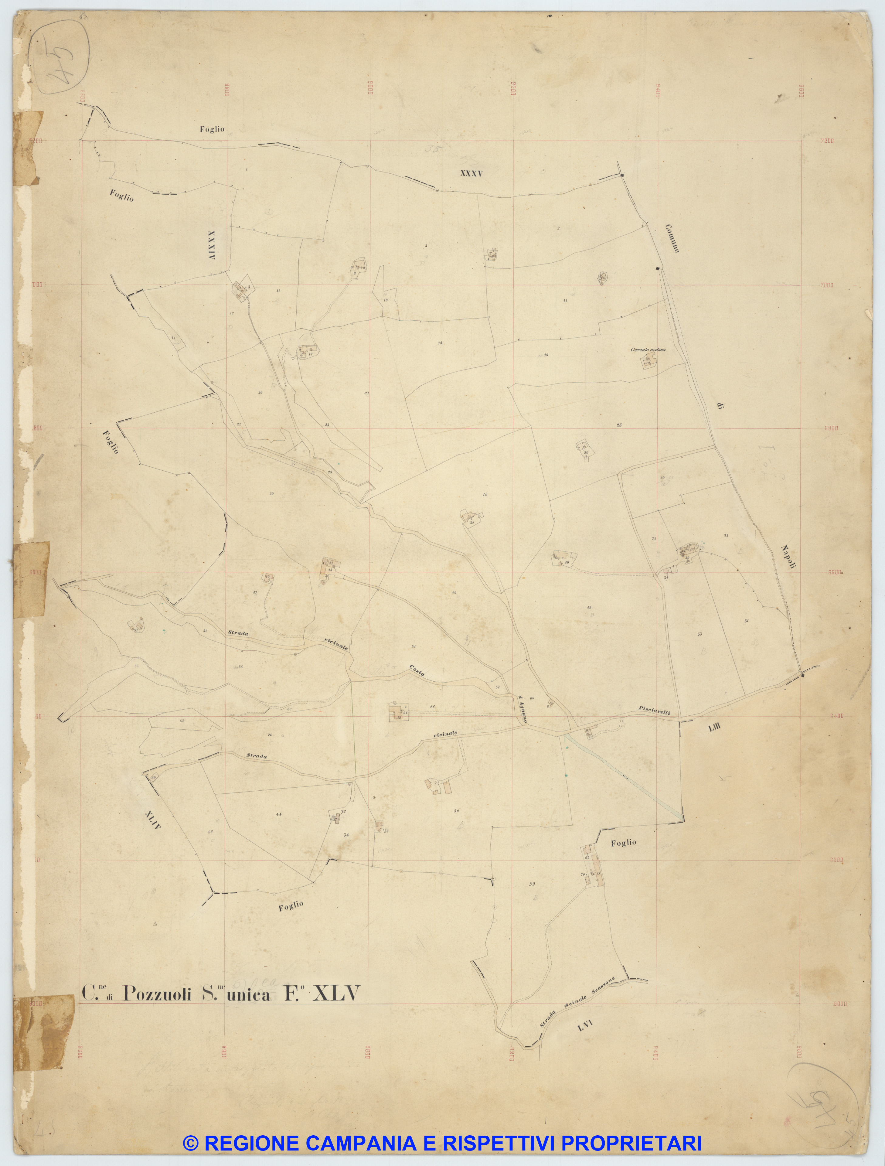 Pozzuoli 45