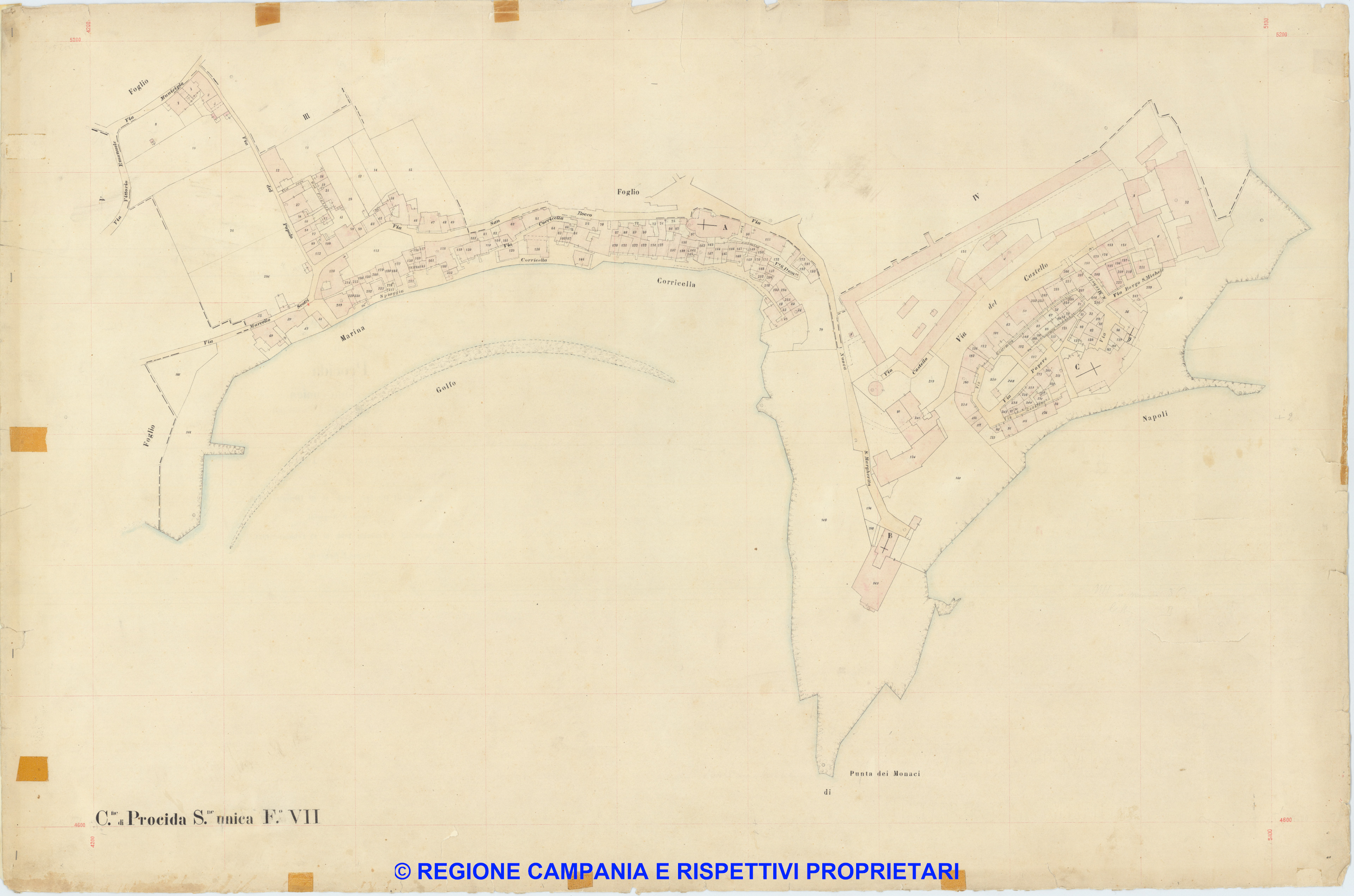 Procida 7