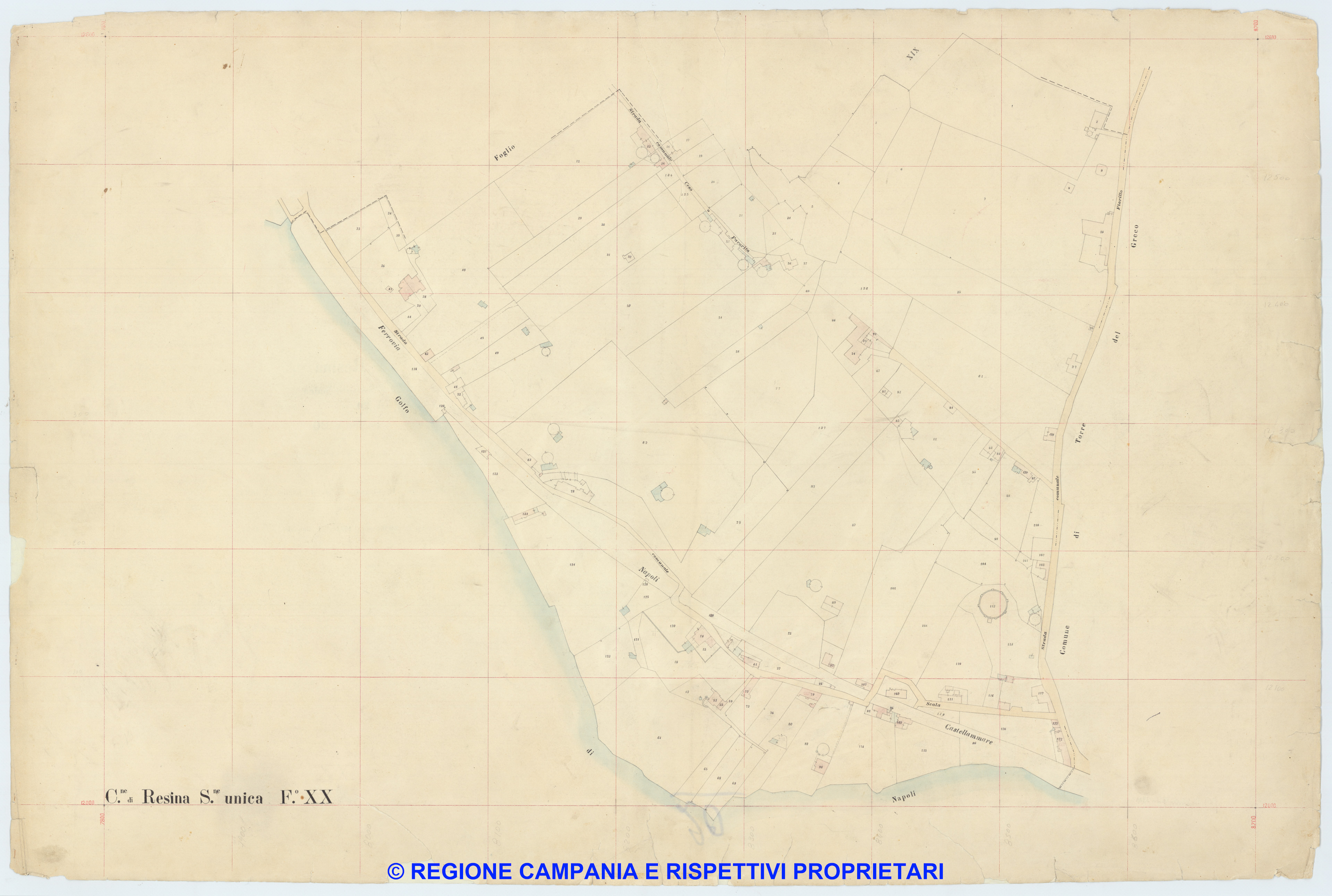 Resina 20