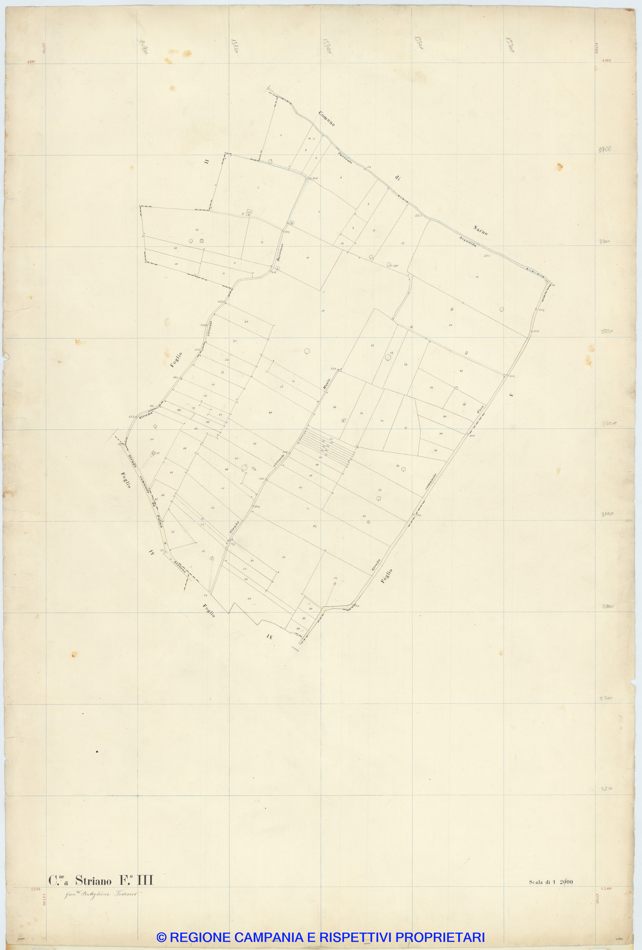 Striano 3