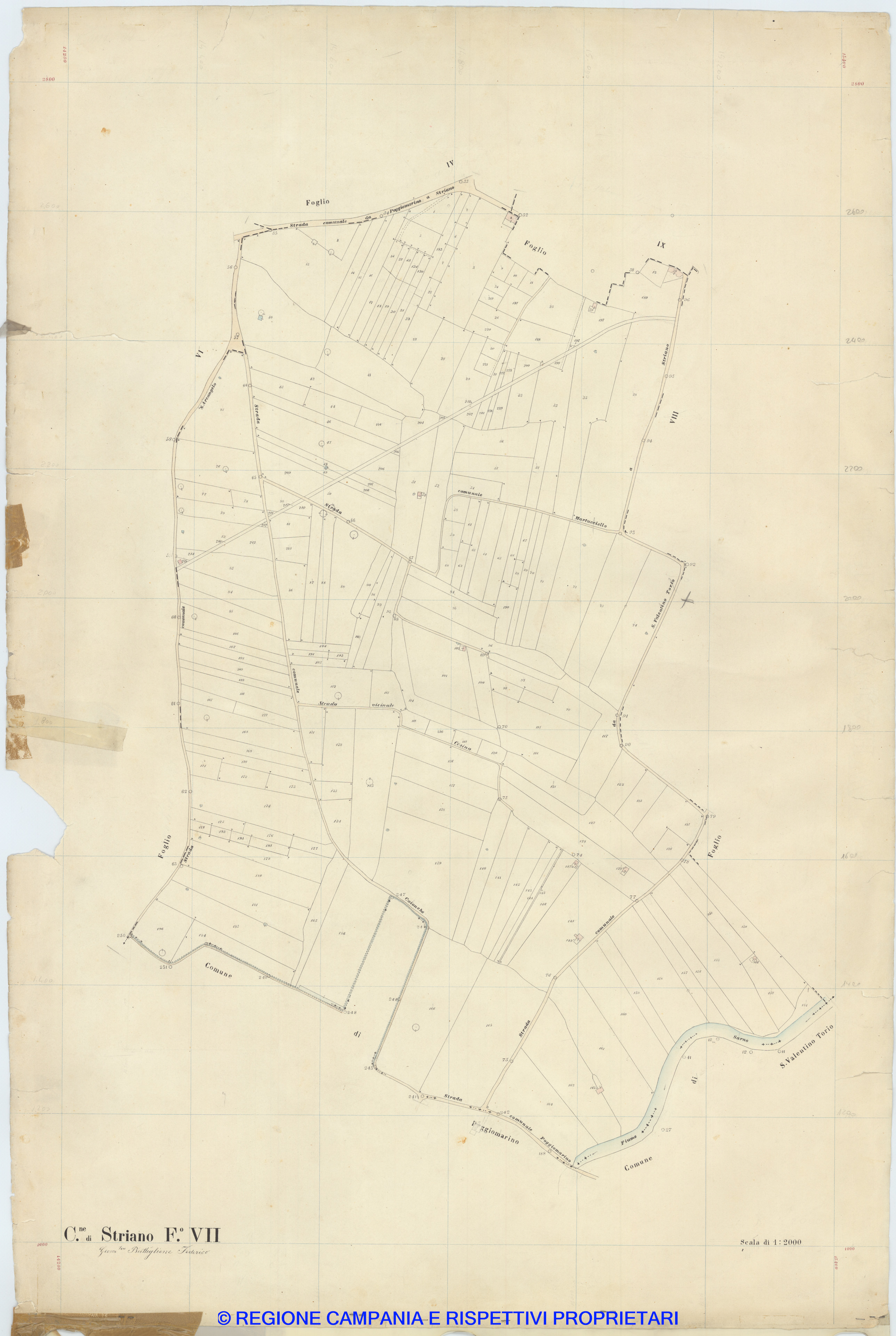 Striano 7