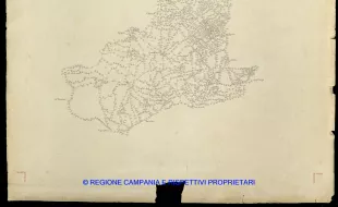 Grafico delle Poligonali