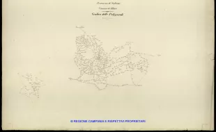 Grafico delle Poligonali