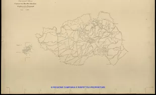 Grafico delle Poligonali