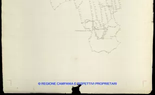 Grafico delle Poligonali