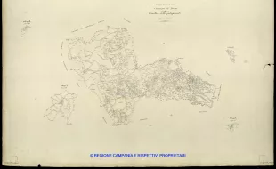 Grafico delle Poligonali