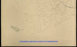 Grafico delle Poligonali