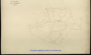 Grafico delle Poligonali