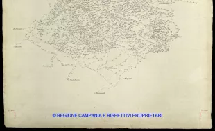 Grafico delle Poligonali