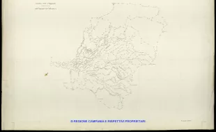 Grafico delle Poligonali