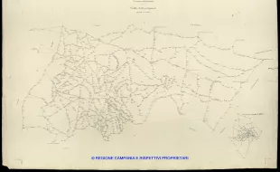 Grafico delle Poligonali