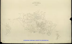 Grafico delle Poligonali