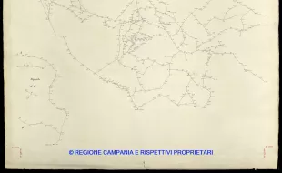 Grafico delle Poligonali