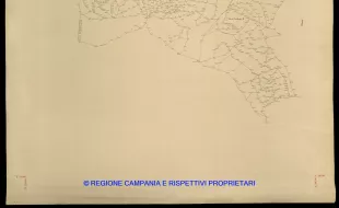 Grafico delle Poligonali